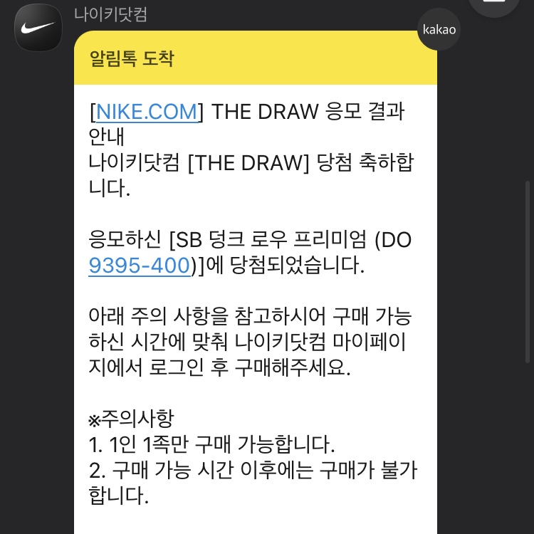 Nike SB Dunk Low Pro Premium Deep Royal Blue 착용 스타일