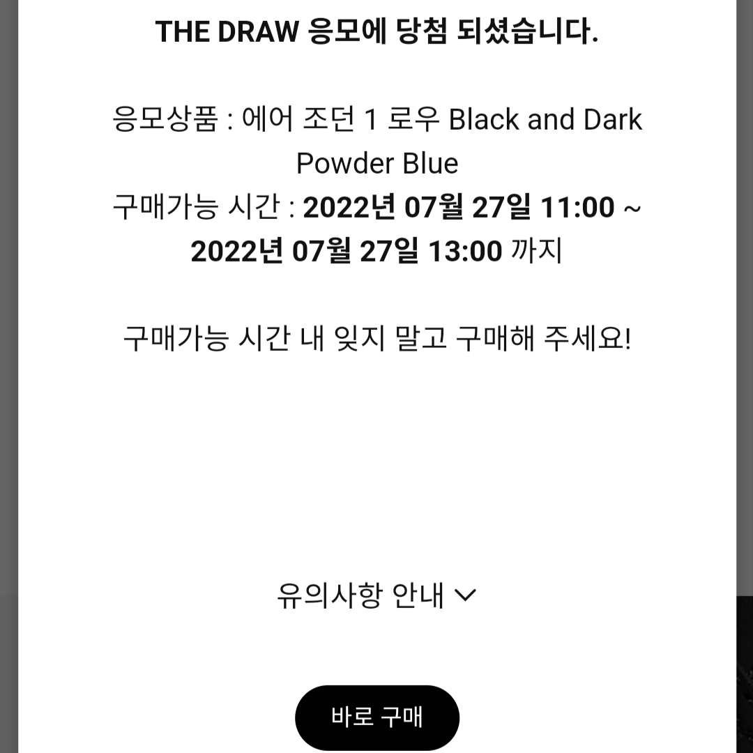 Jordan 1 Retro Low OG Black and Dark Powder Blue 착용 스타일