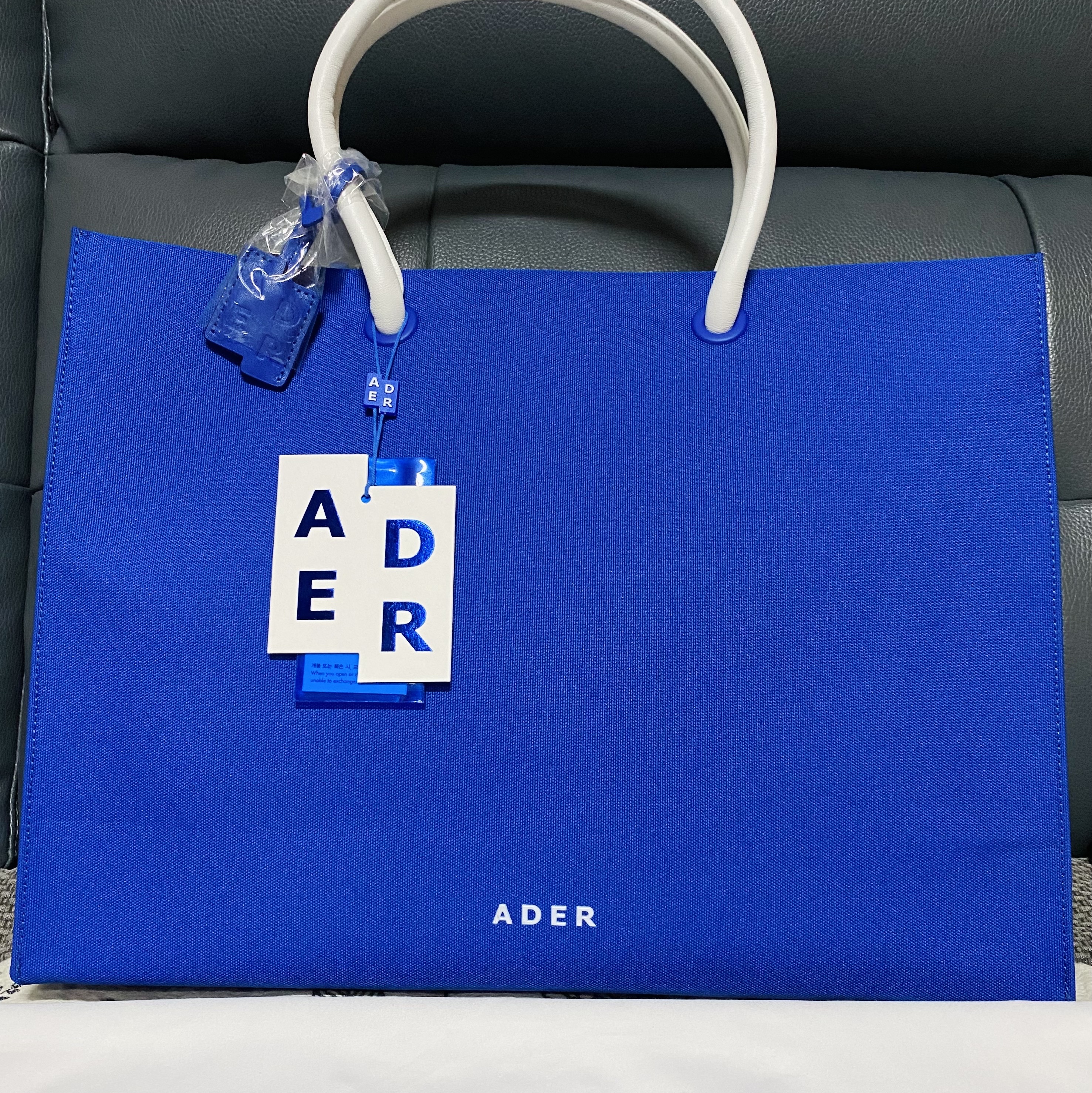Ader Error Wide Shopper Bag Z-Blue 착용 스타일 - 1
