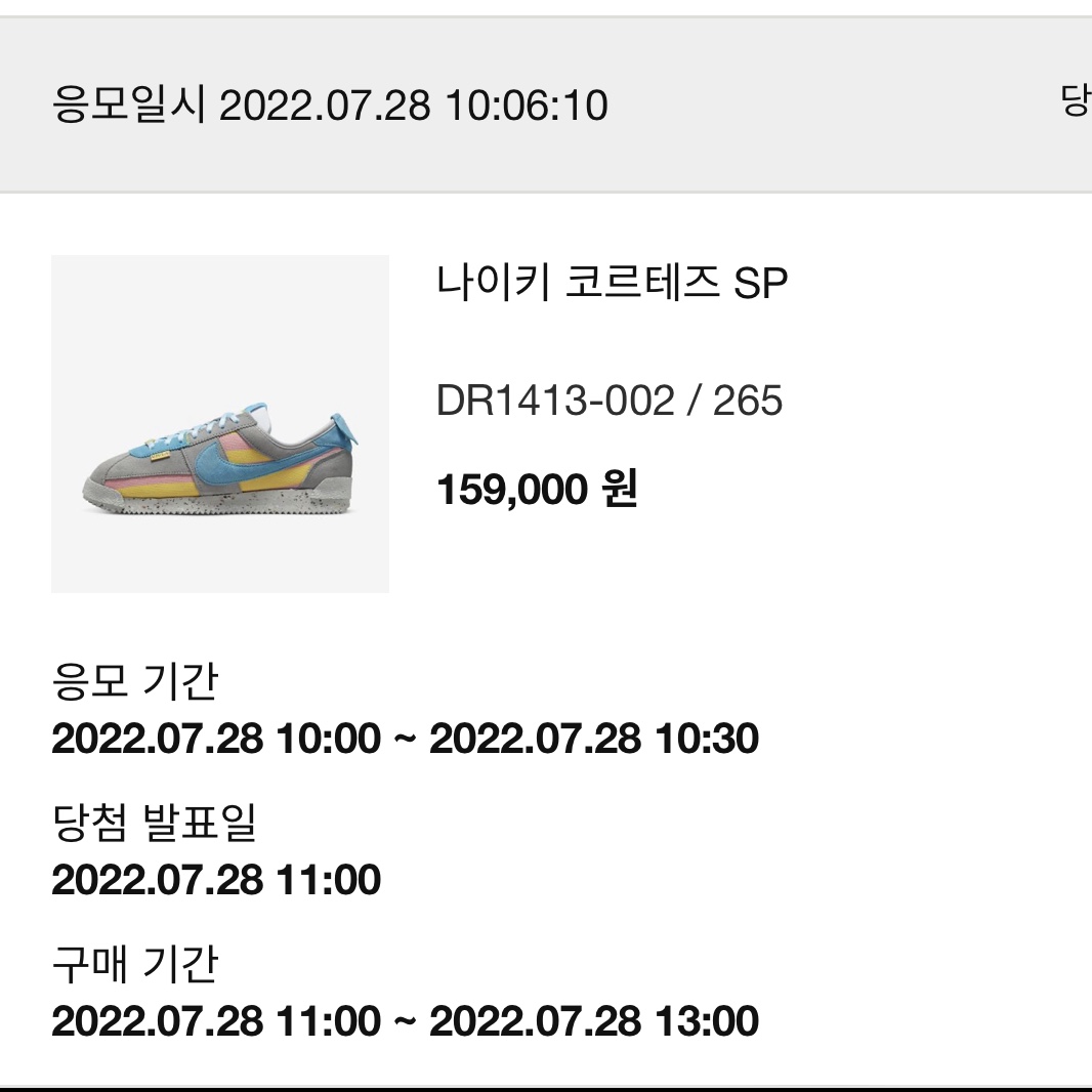 Nike x Union Cortez SP Light Smoke 착용 스타일