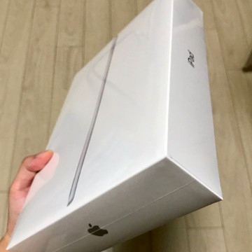 Apple iPad 9th Gen Wifi 64GB Silver (Korean Ver.) 착용 스타일
