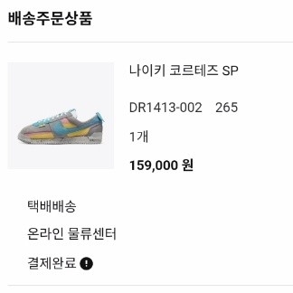Nike x Union Cortez SP Light Smoke 착용 스타일