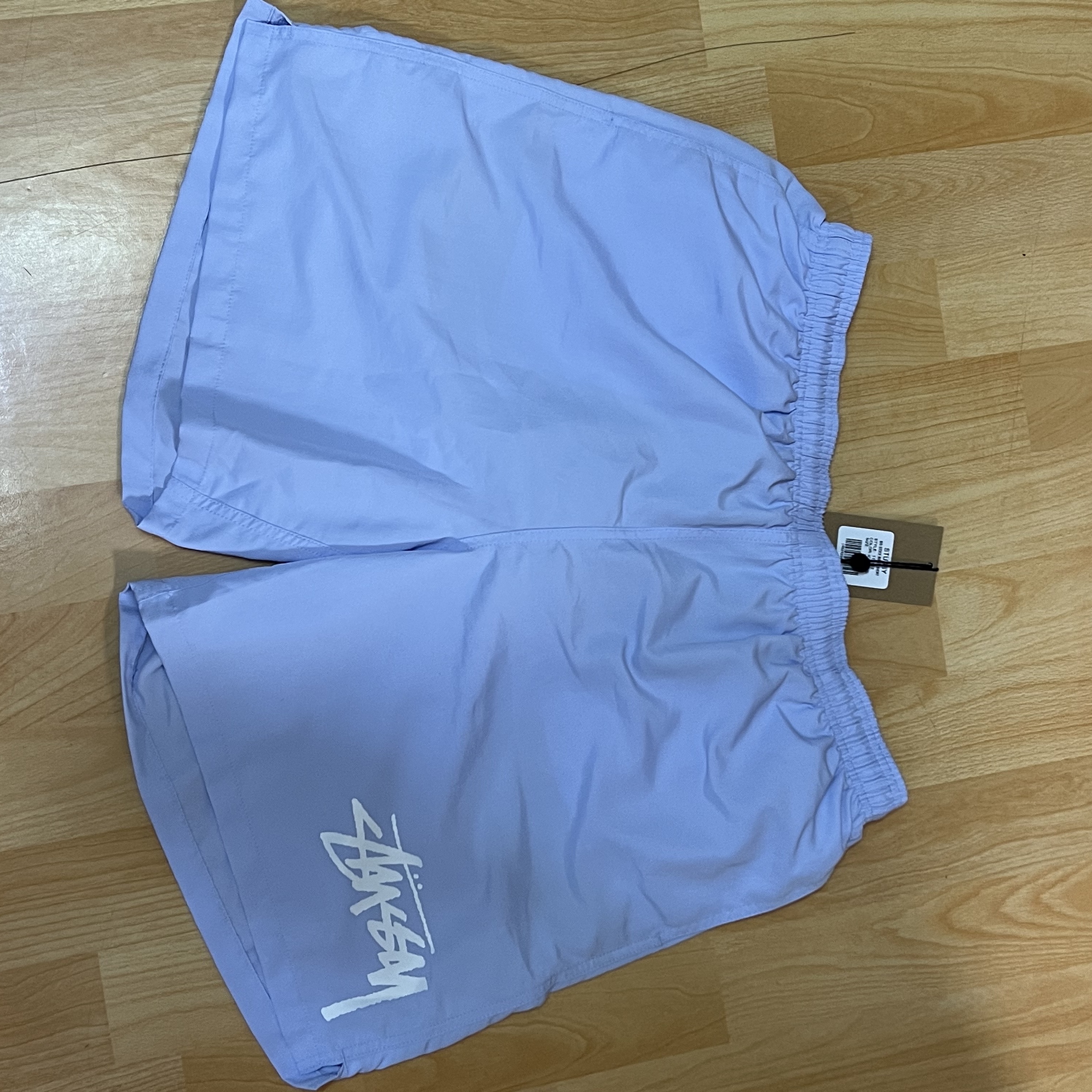 Stussy Big Stock Water Shorts Ice Blue 착용 스타일