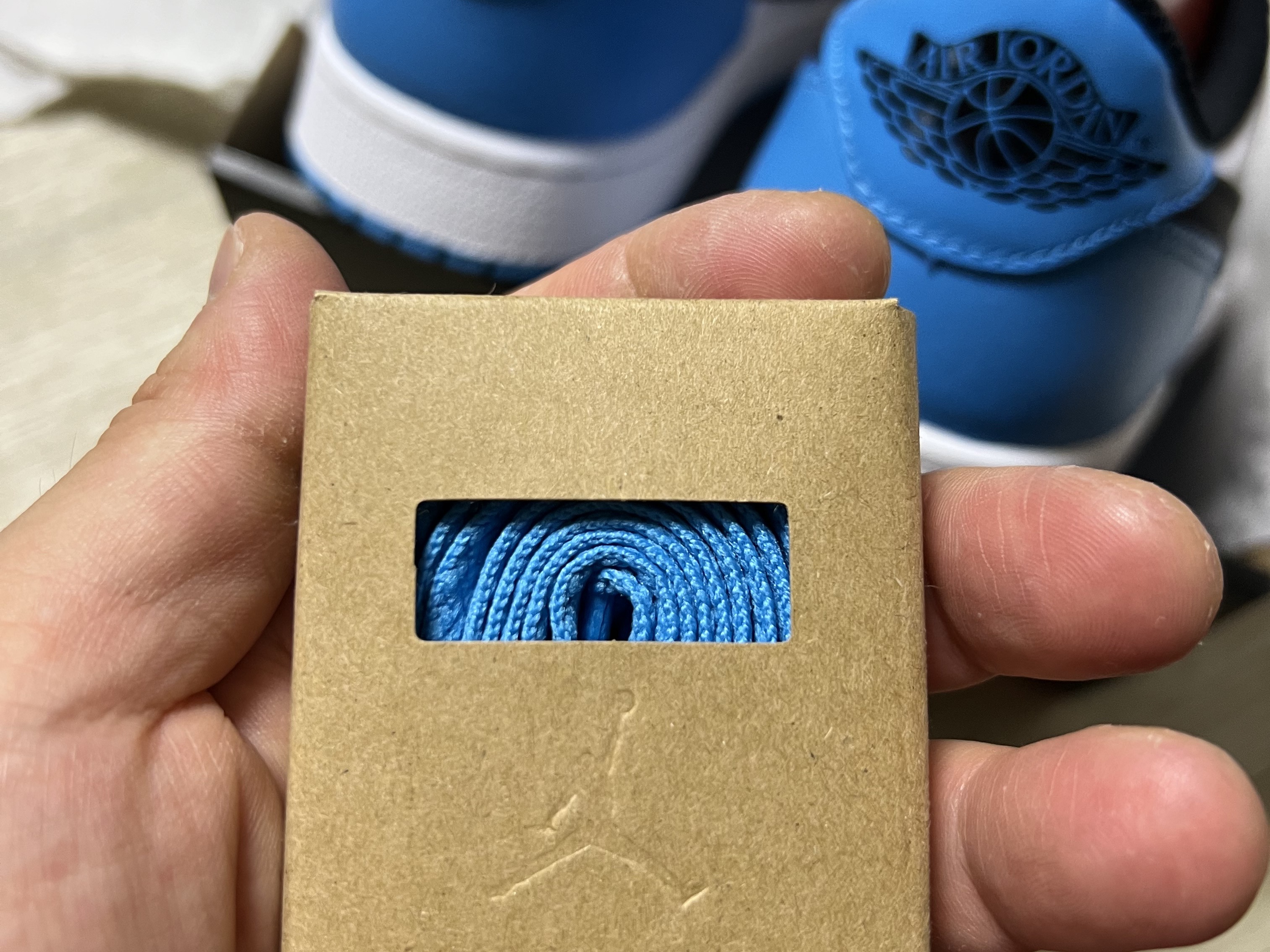 Jordan 1 Retro Low OG Black and Dark Powder Blue 착용 스타일 - 2