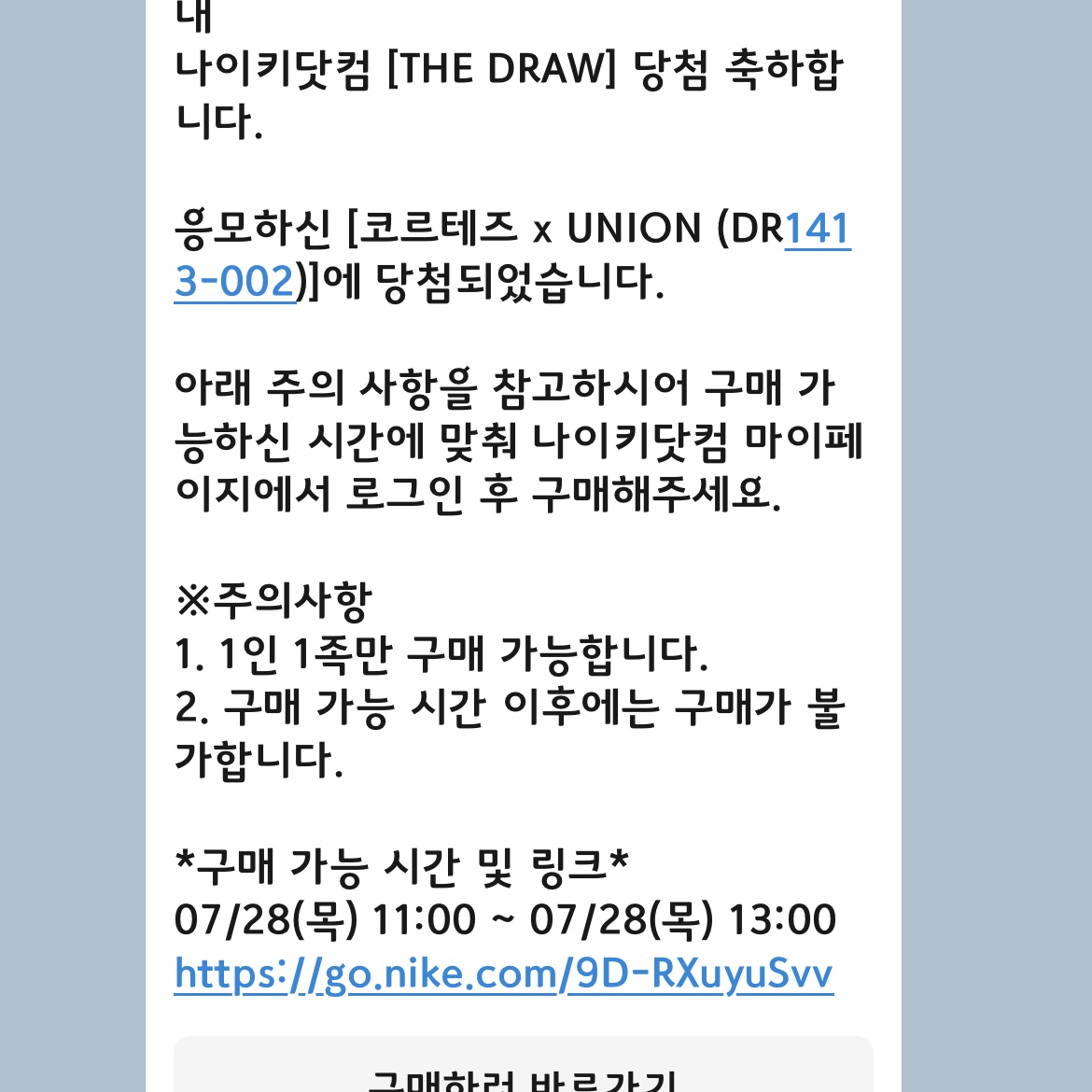 Nike x Union Cortez SP Light Smoke 착용 스타일
