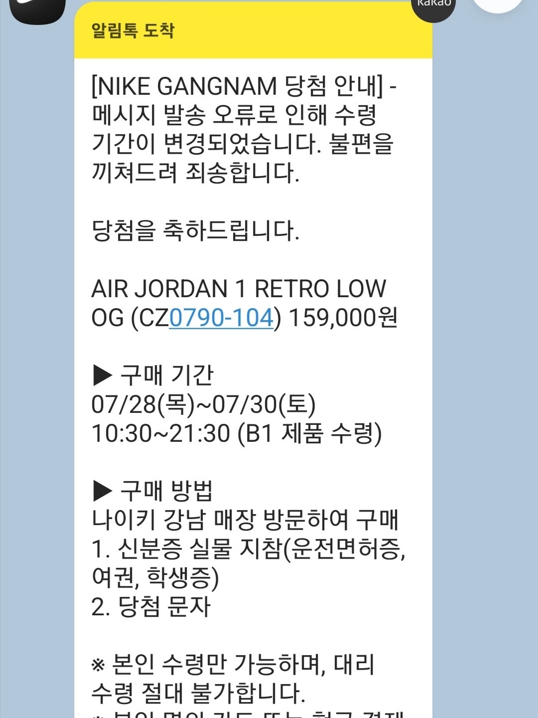 Jordan 1 Retro Low OG Black and Dark Powder Blue 착용 스타일 - 2