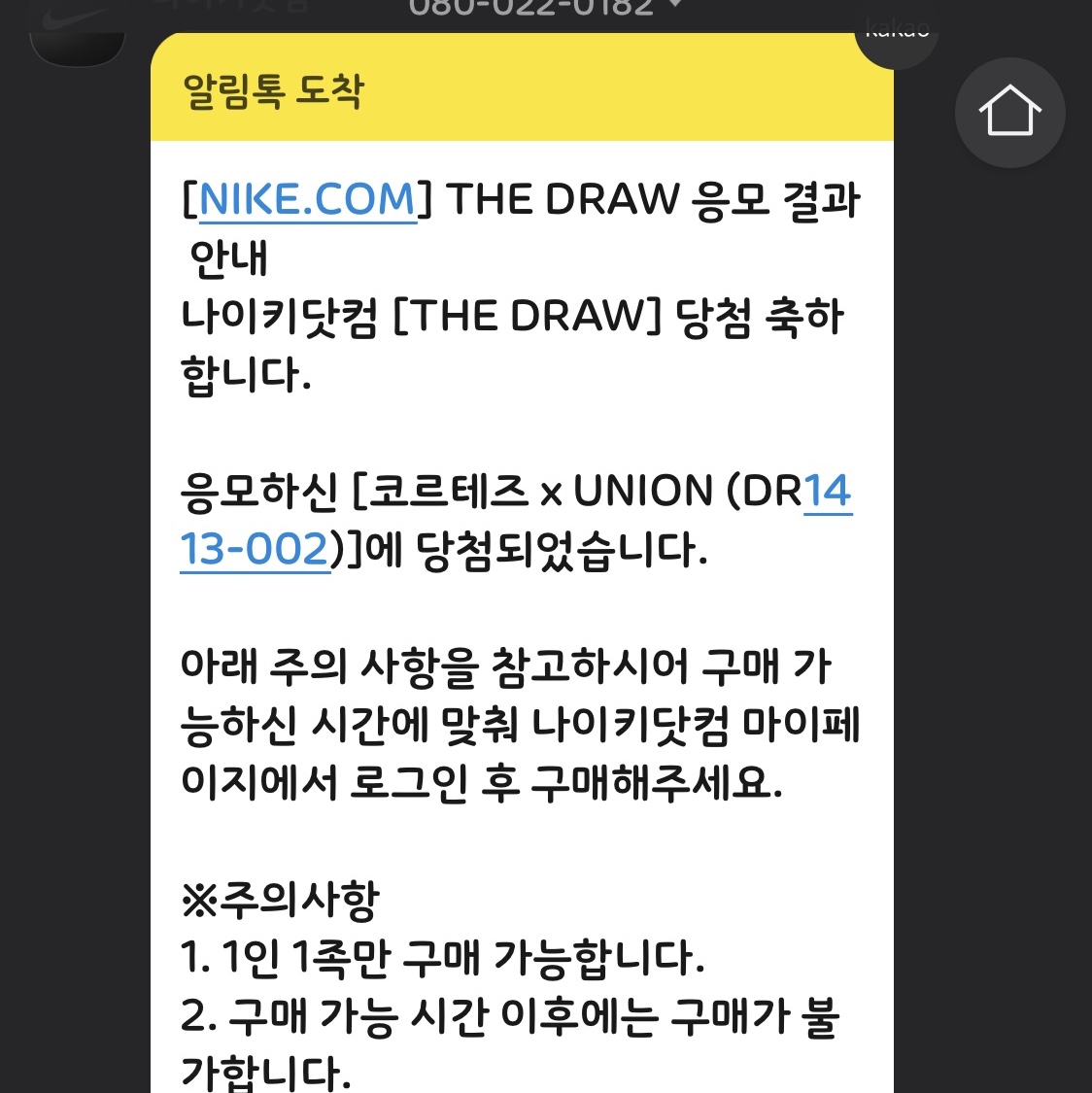Nike x Union Cortez SP Light Smoke 착용 스타일