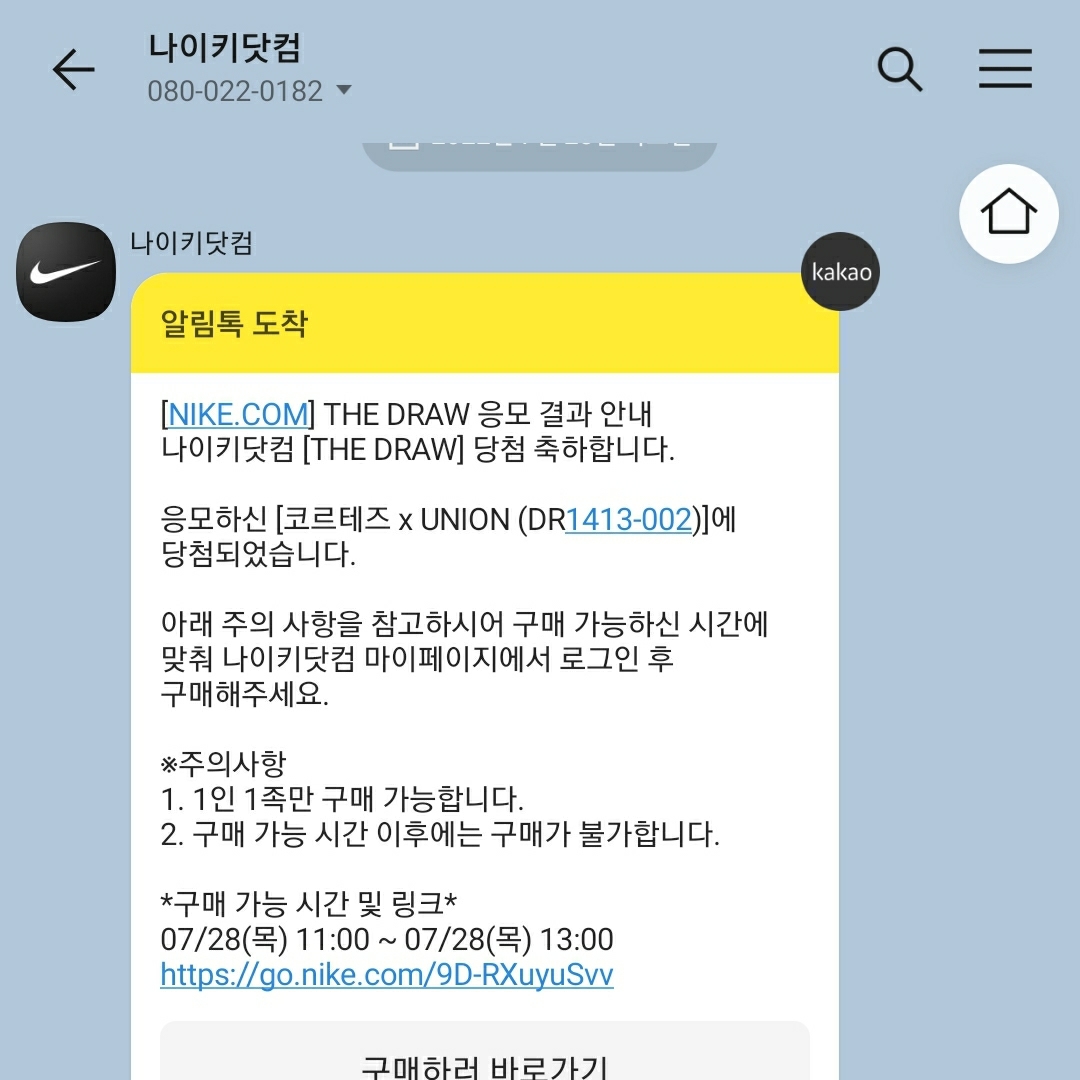 Nike x Union Cortez SP Light Smoke 착용 스타일