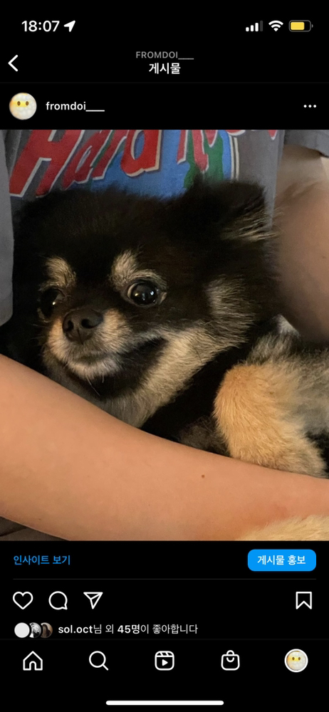 KREAM 프로필 이미지