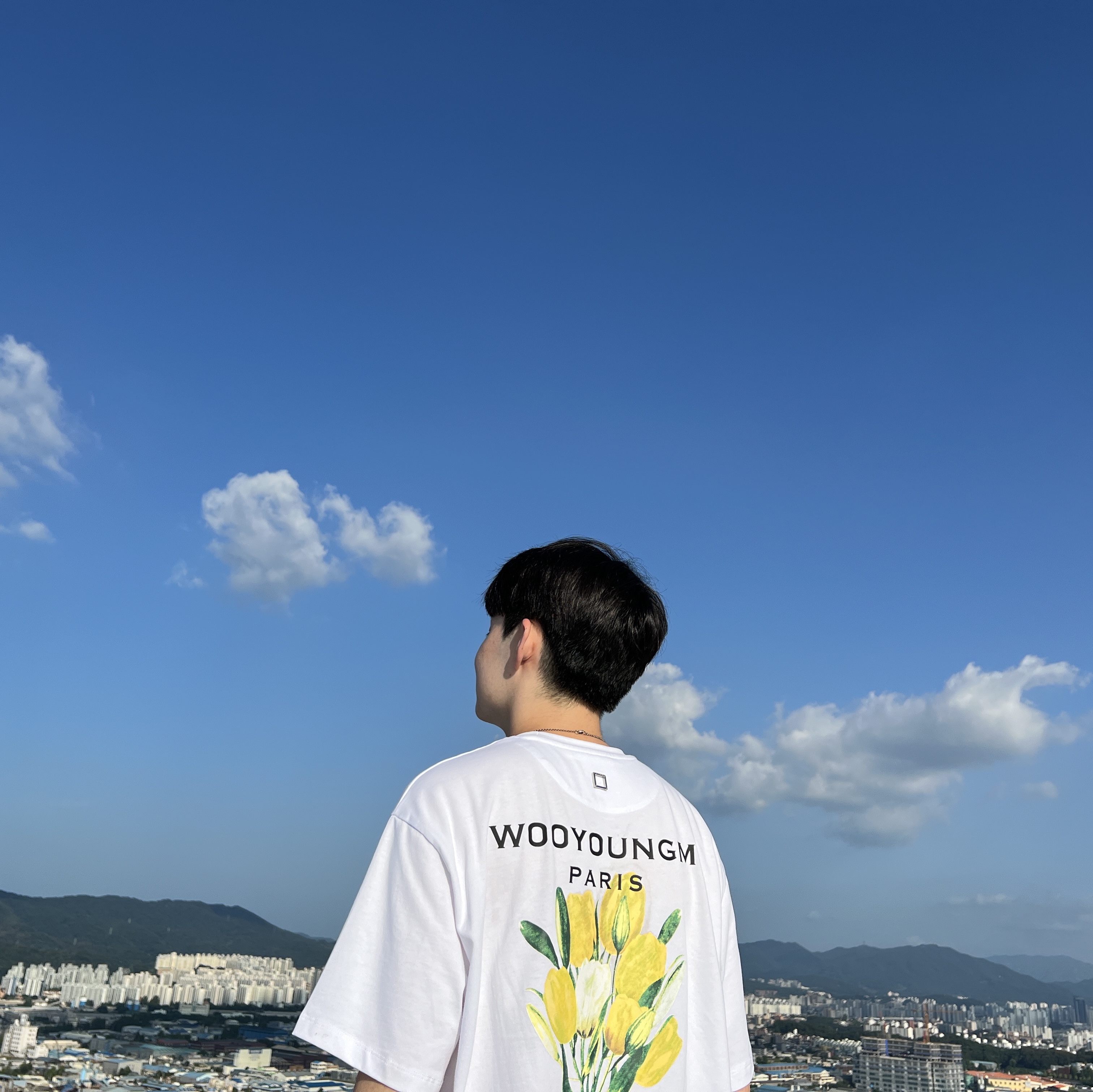 Jordan 1 Mid SE Pine Green Light Smoke Grey, Wooyoungmi Flower Print Back Logo T-Shirt White - 22SS 착용 스타일 - 2