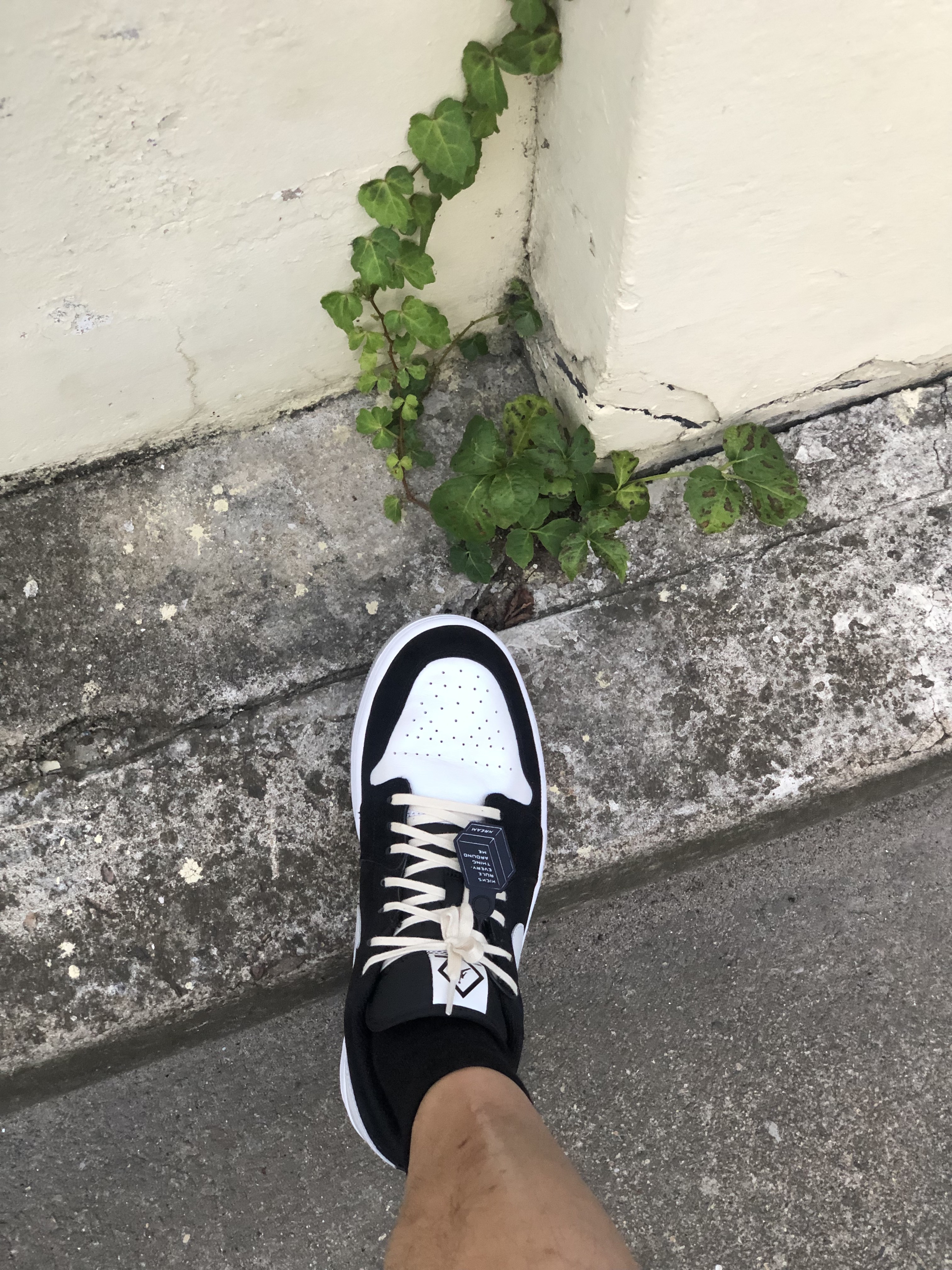 Jordan 1 Low SE Diamond 착용 스타일 - 1