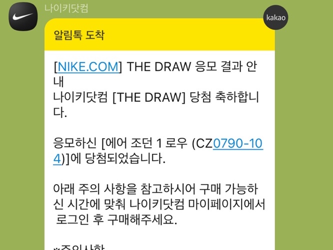 Jordan 1 Retro Low OG Black and Dark Powder Blue 착용 스타일 - 5