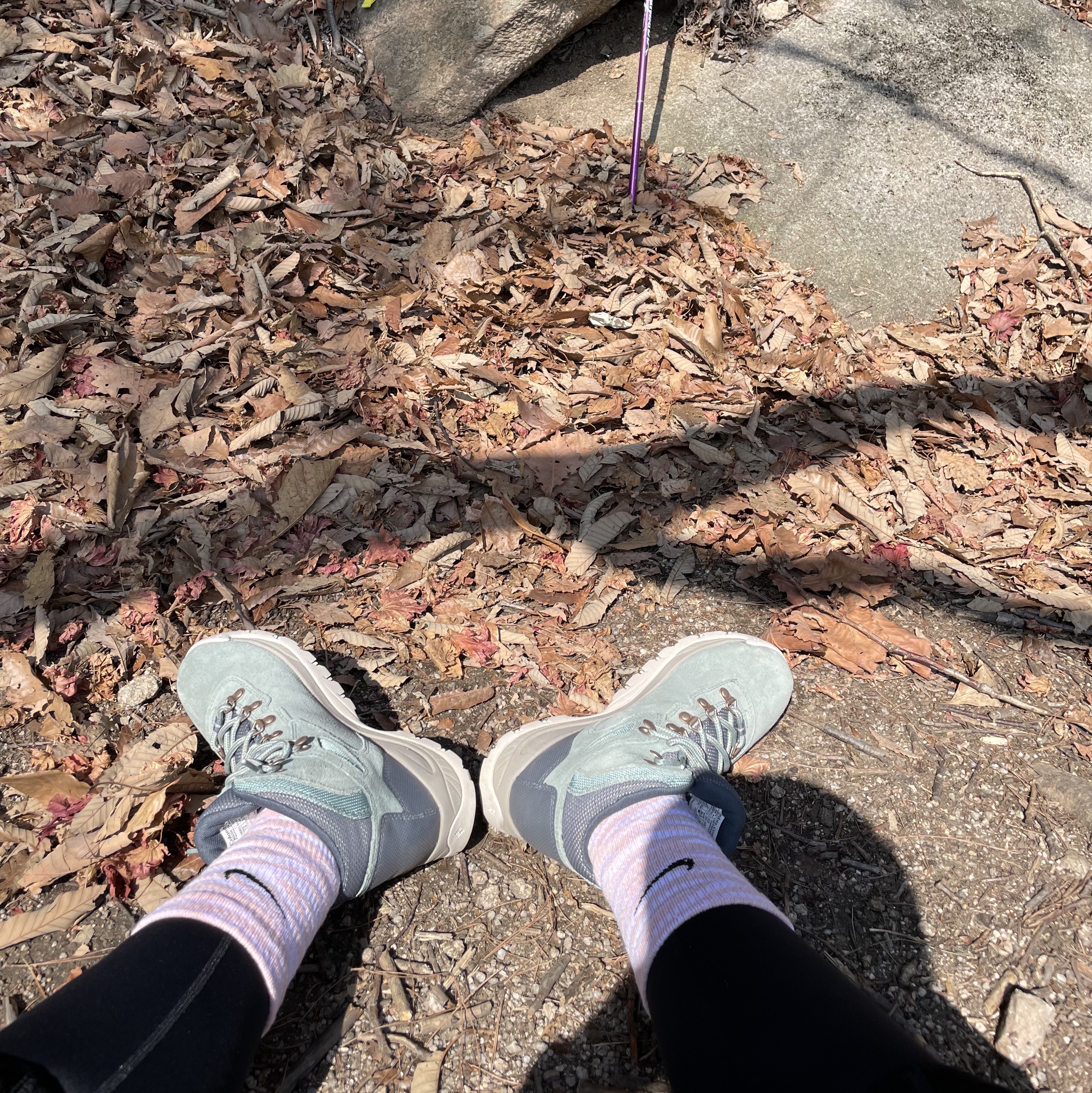 (Kids) Nike Everyday Plus Socks Pink White (6 Pack/Korean Ver.) 착용 스타일 - 2
