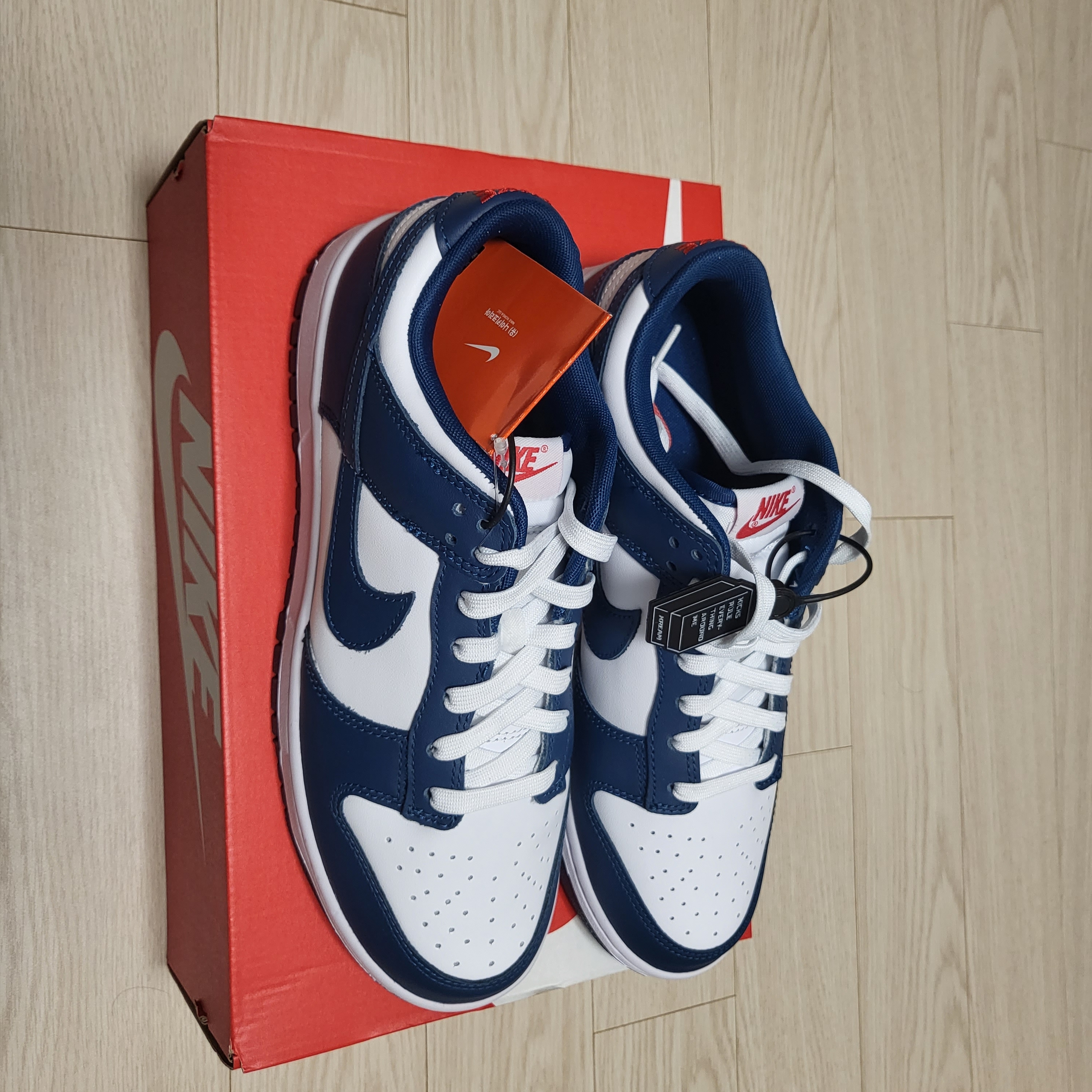 Nike Dunk Low Retro Valerian Blue 착용 스타일