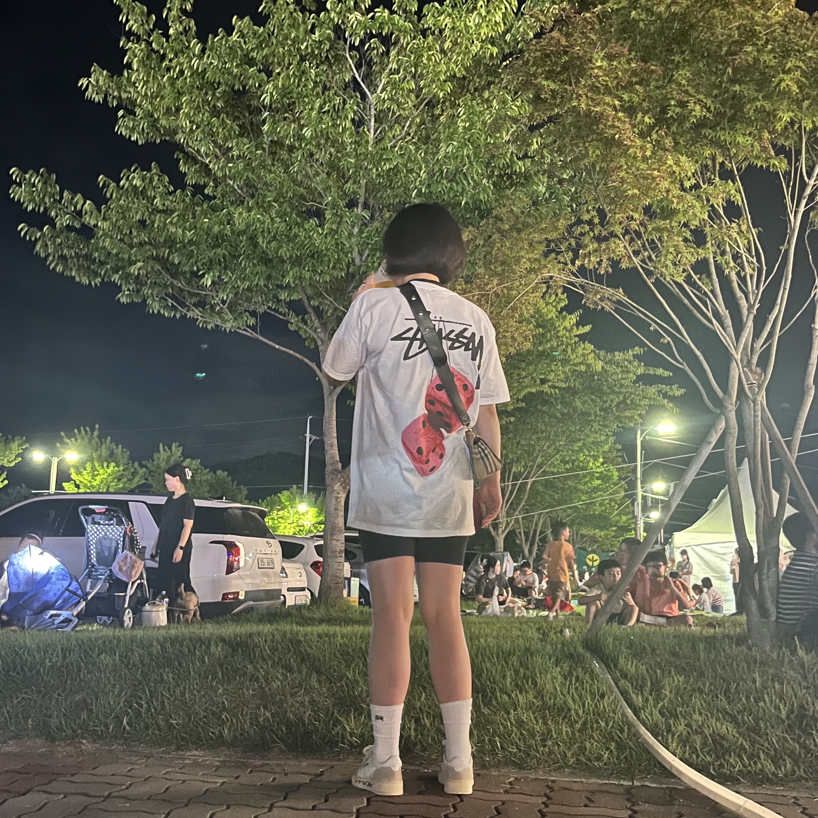 Stussy Fuzzy Dice T-Shirt White, Stussy Small Stock Crew Socks White (3 Pack) 착용 스타일