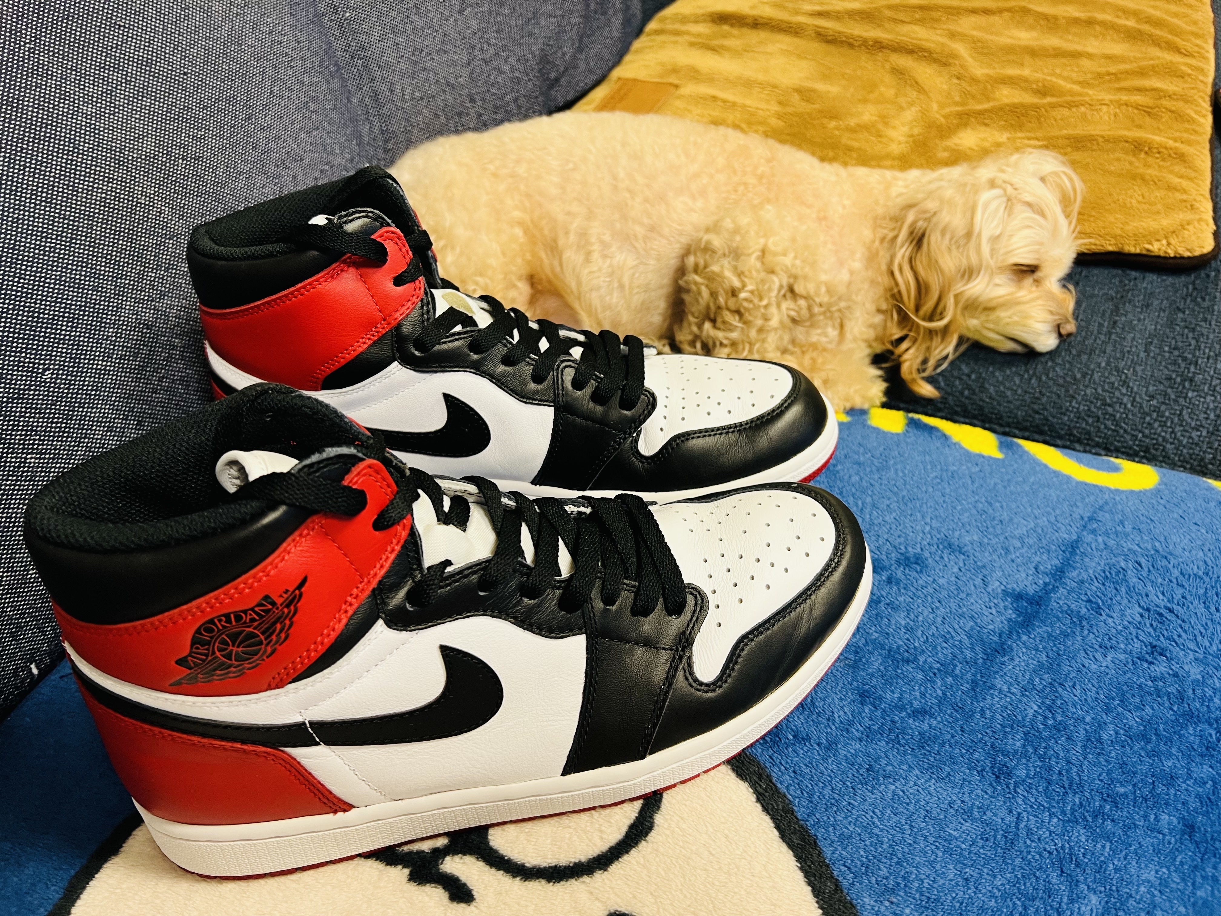 Jordan 1 Retro High OG Black Toe 2016 착용 스타일