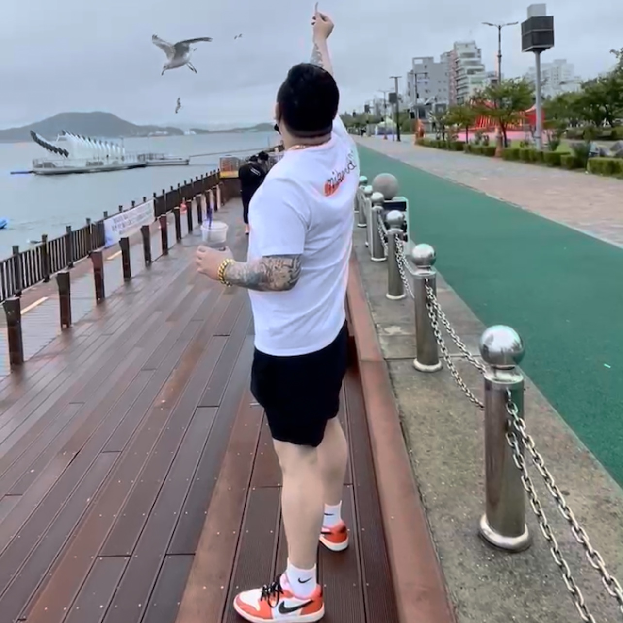 24497326님의 스타일