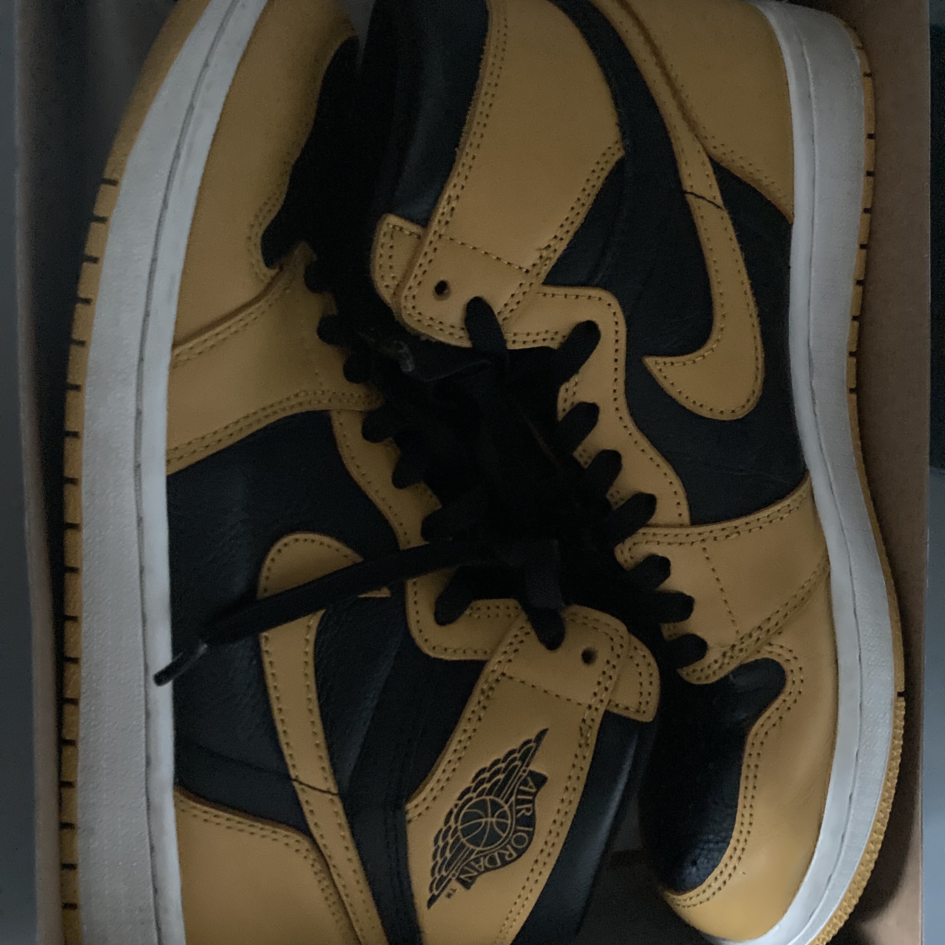 Jordan 1 Retro High OG Pollen 착용 스타일