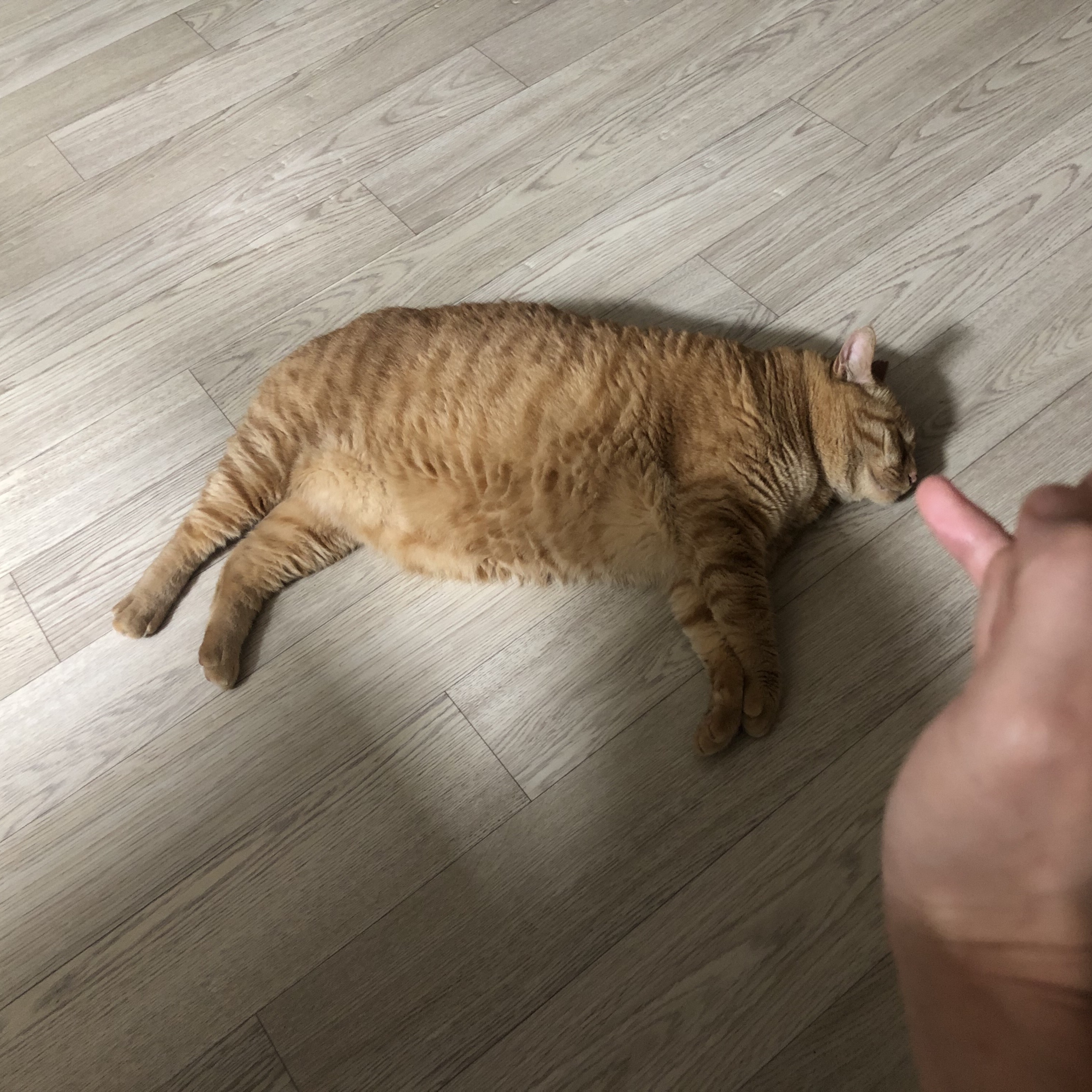 최윤영님의 스타일