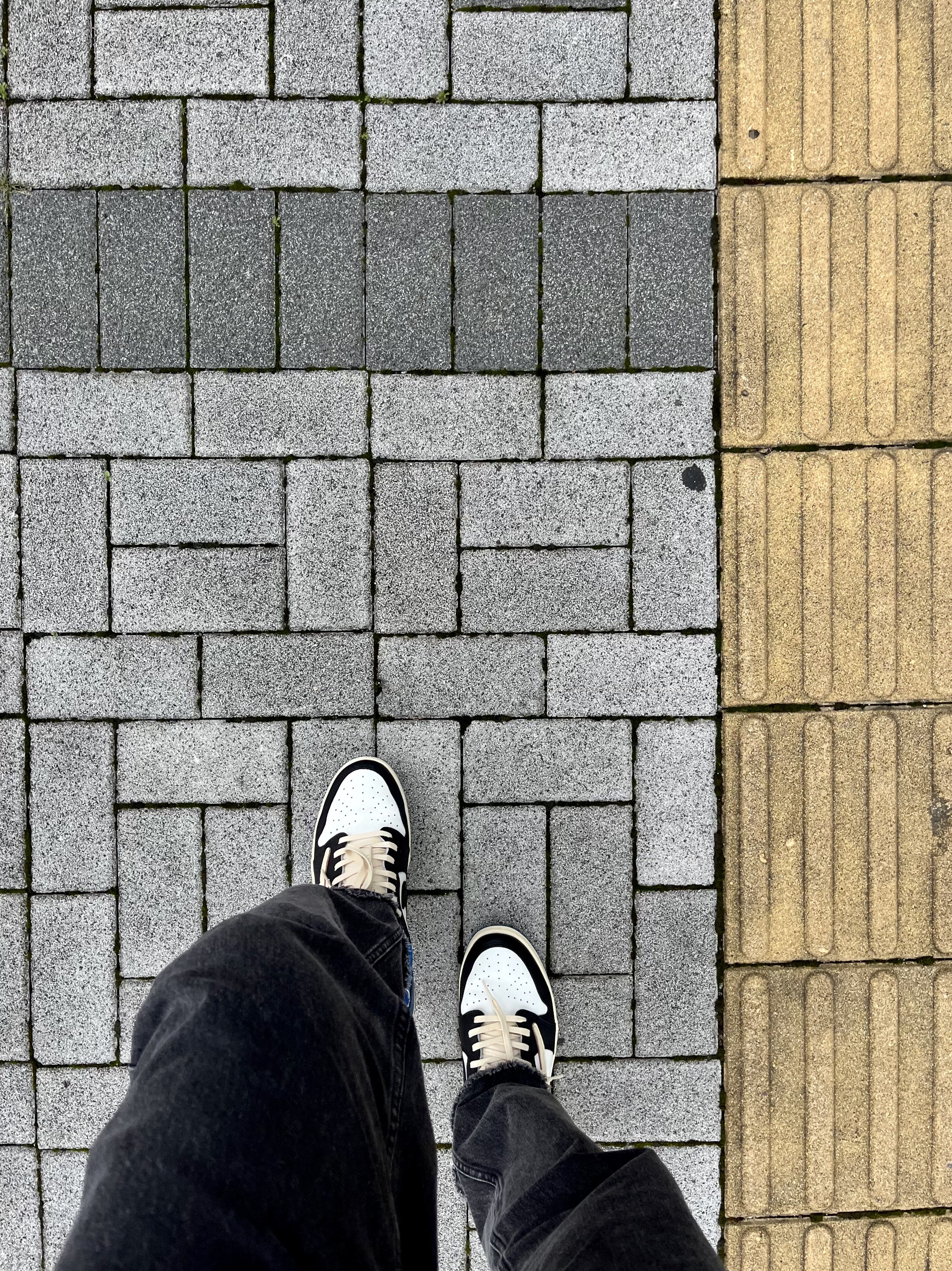 Jordan 1 x Travis Scott x Fragment Retro Low OG SP Military Blue 착용 스타일