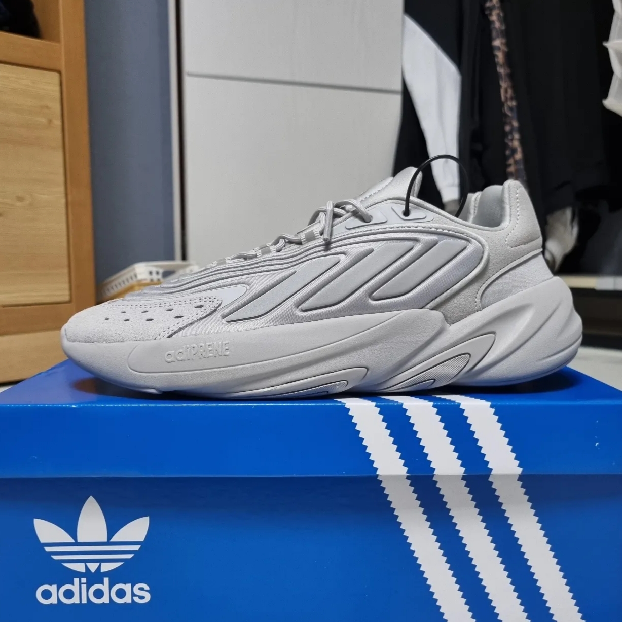 Adidas Ozelia Grey 착용 스타일 - 3
