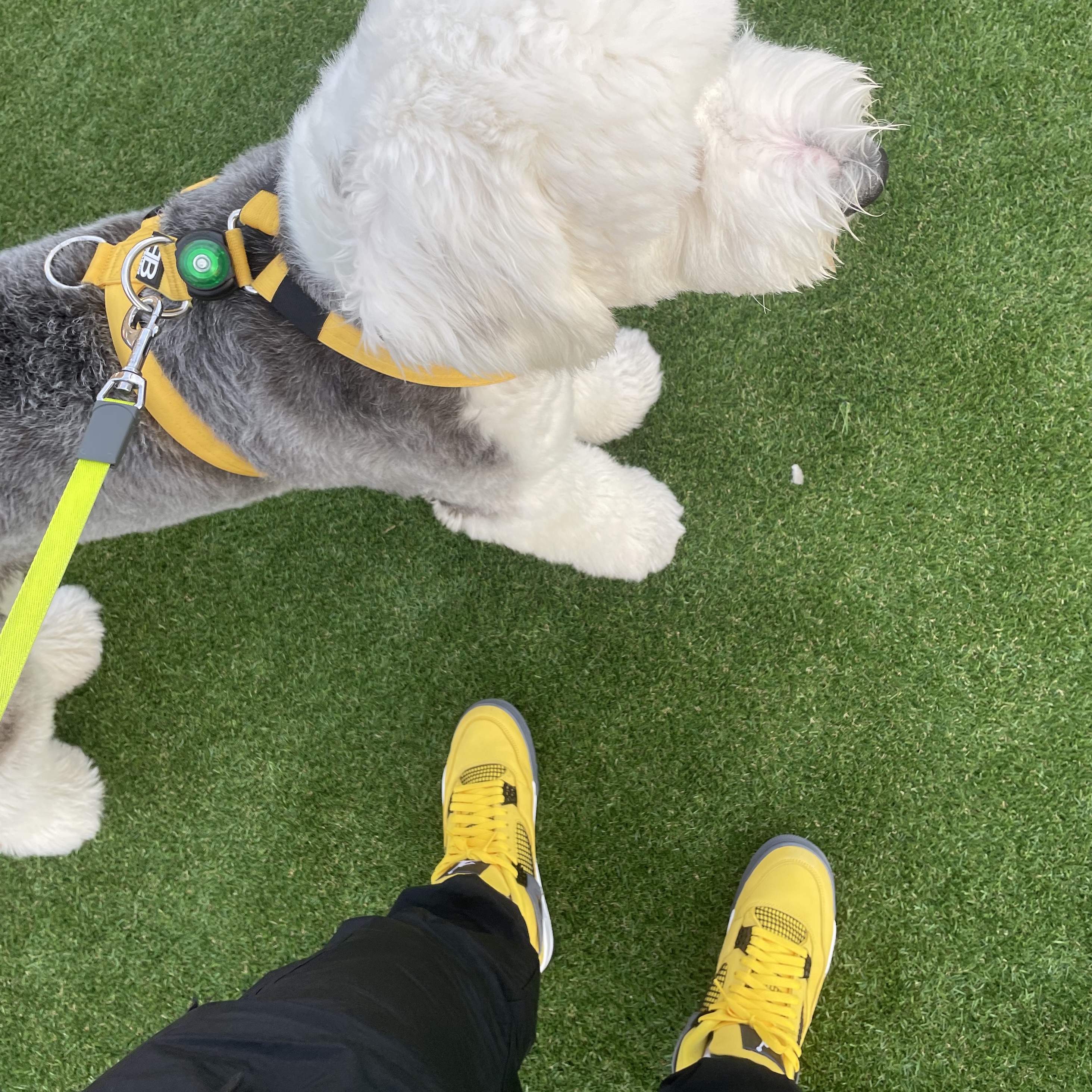 Jordan 4 Retro Tour Yellow 착용 스타일