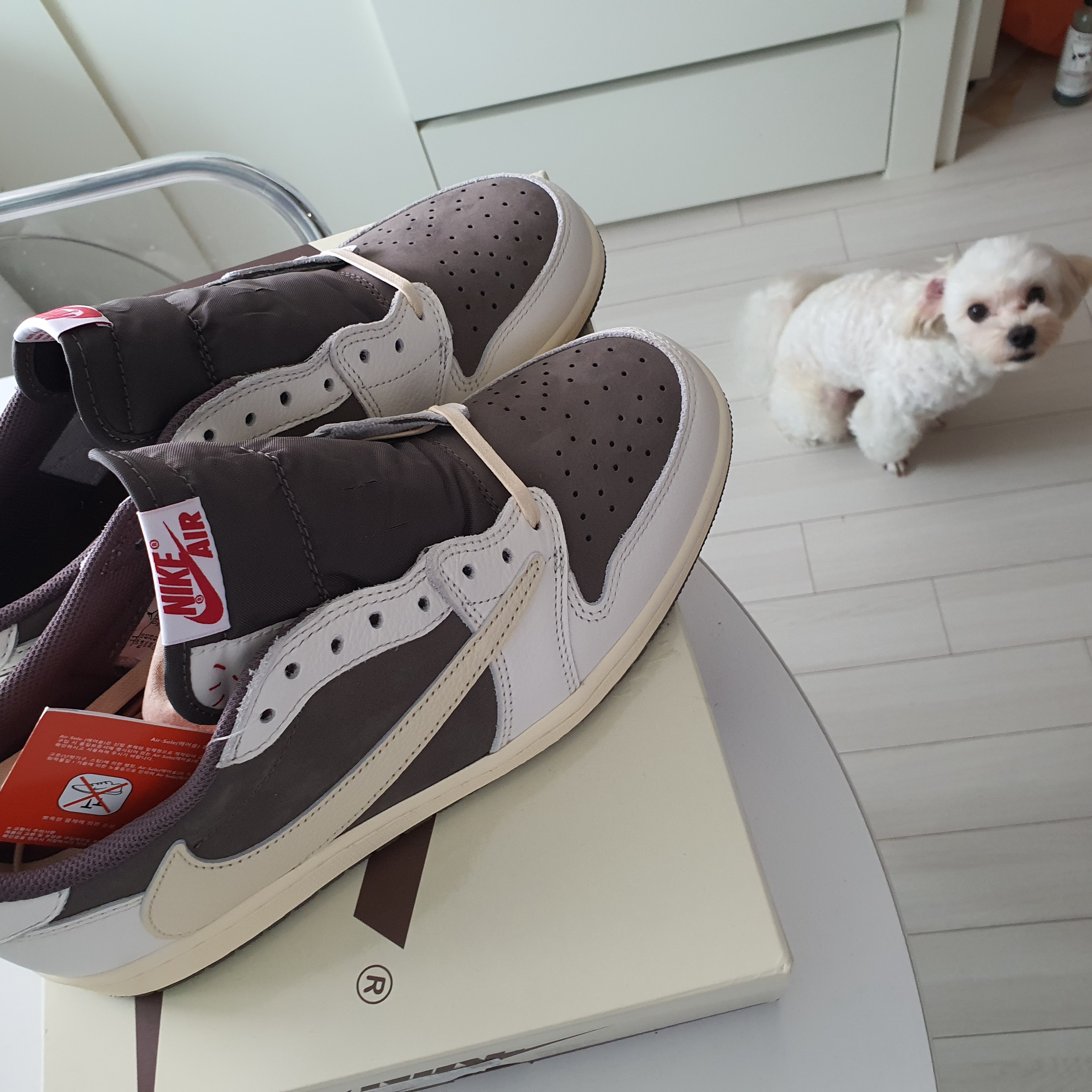 Jordan 1 x Travis Scott Retro Low OG SP Sail and Ridgerock 착용 스타일