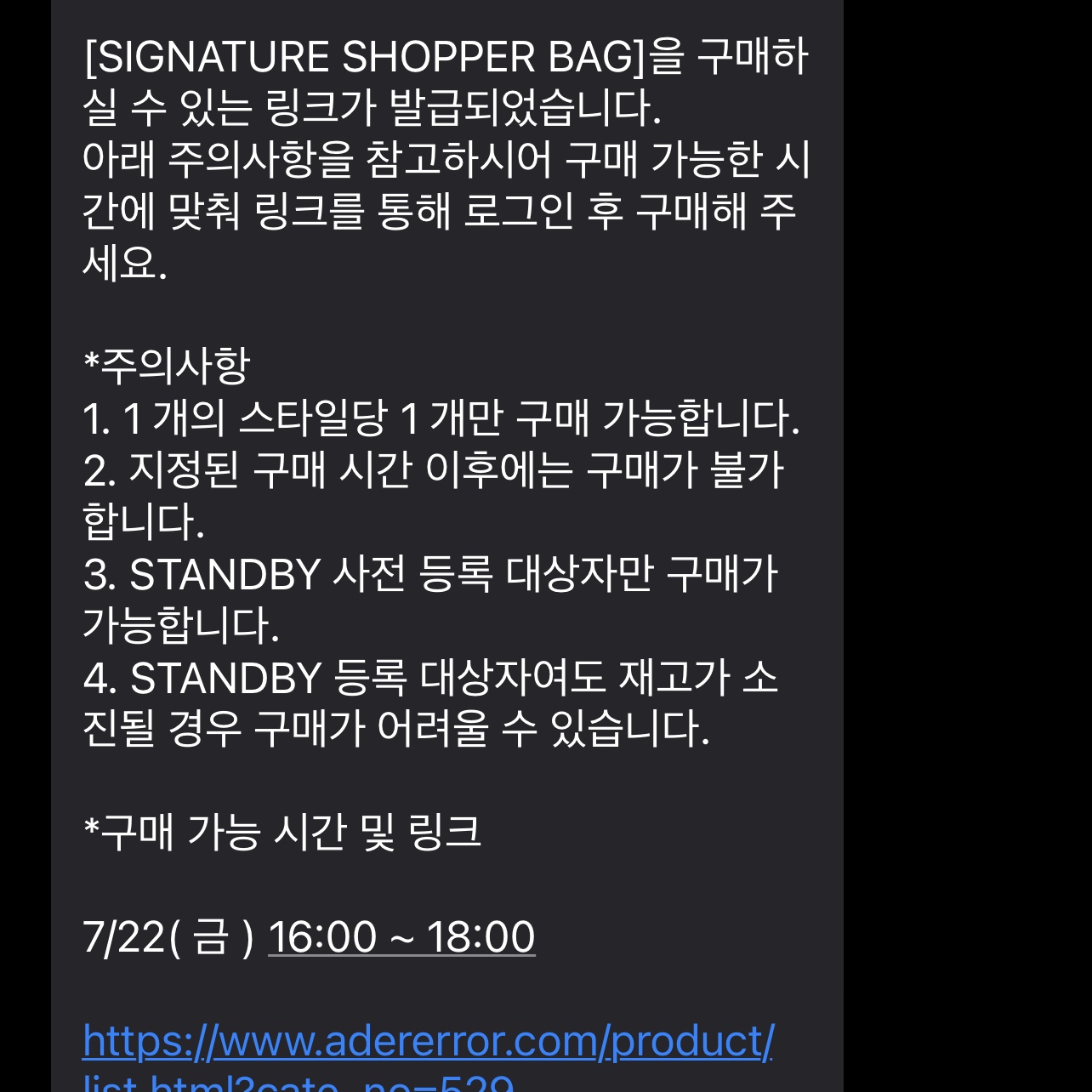 Ader Error Wide Shopper Bag Noir 착용 스타일 - 4
