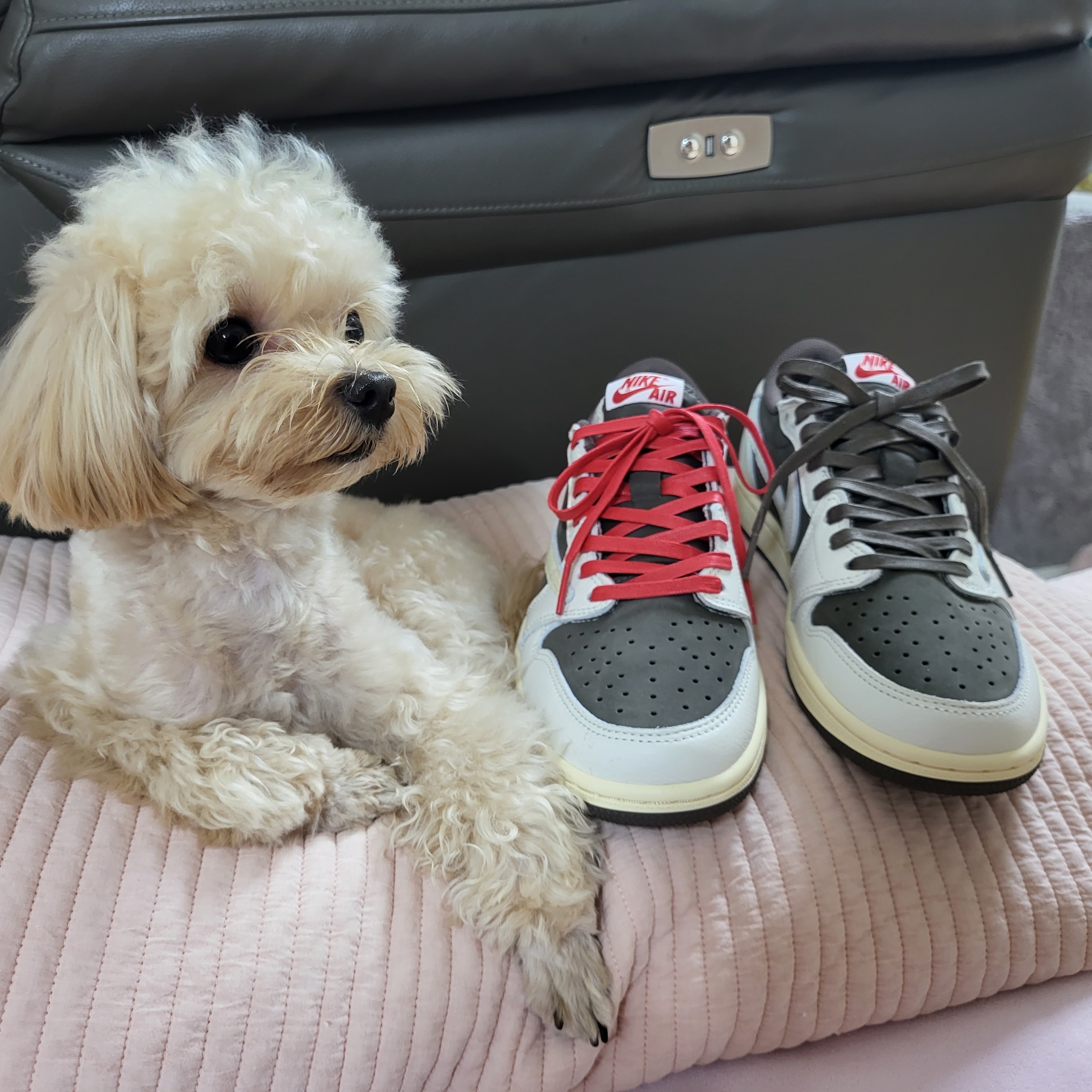 Jordan 1 x Travis Scott Retro Low OG SP Sail and Ridgerock 착용 스타일 - 2