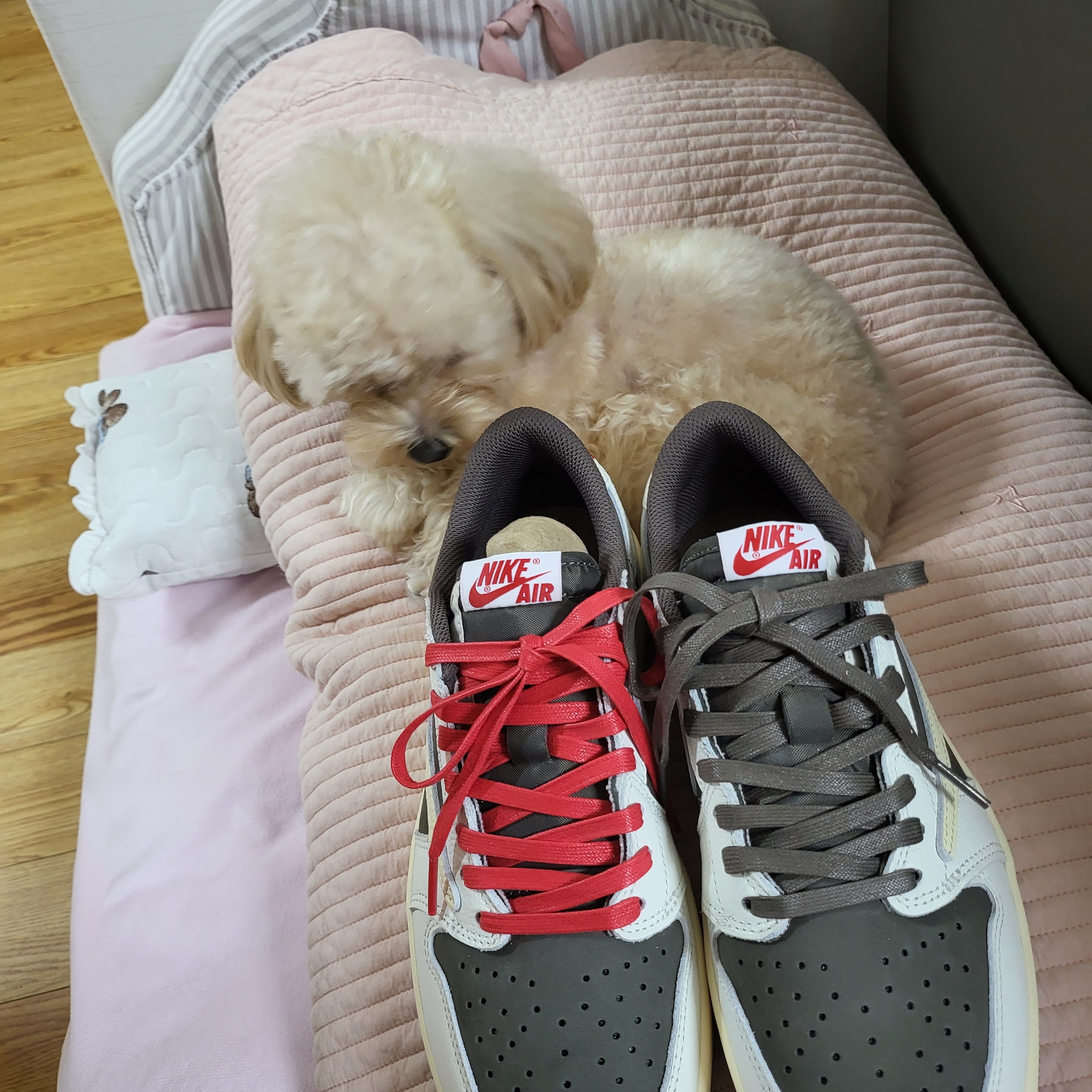 Jordan 1 x Travis Scott Retro Low OG SP Sail and Ridgerock 착용 스타일 - 3