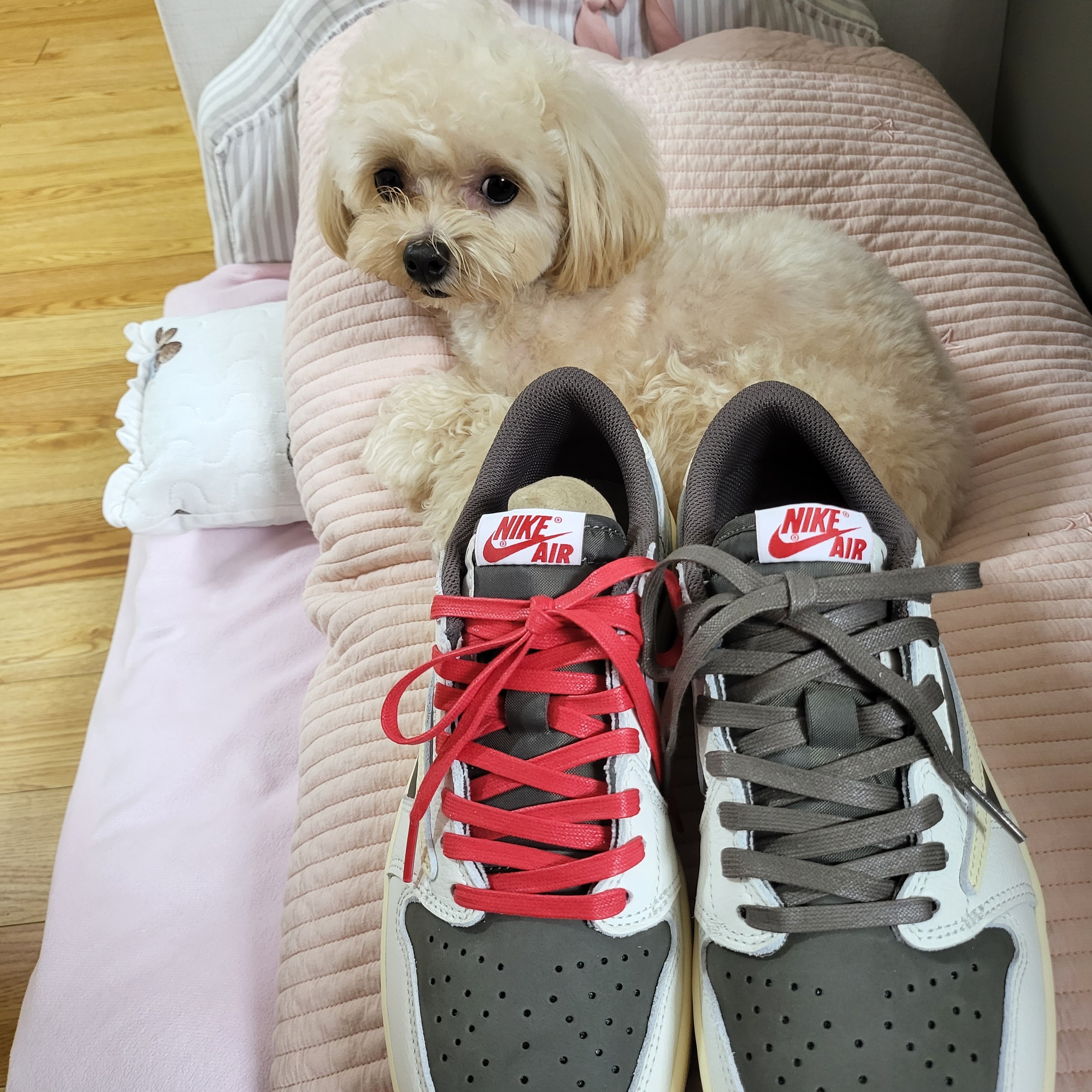 Jordan 1 x Travis Scott Retro Low OG SP Sail and Ridgerock 착용 스타일 - 1