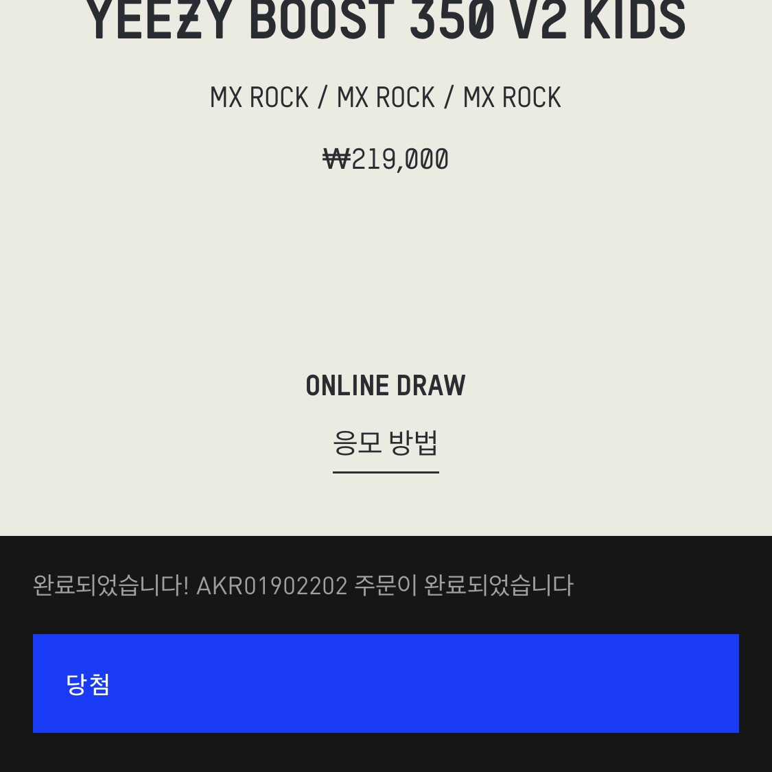 (Kids) Adidas Yeezy Boost 350 V2 MX Rock 착용 스타일