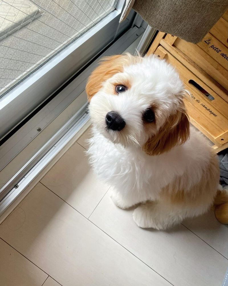 KREAM 프로필 이미지