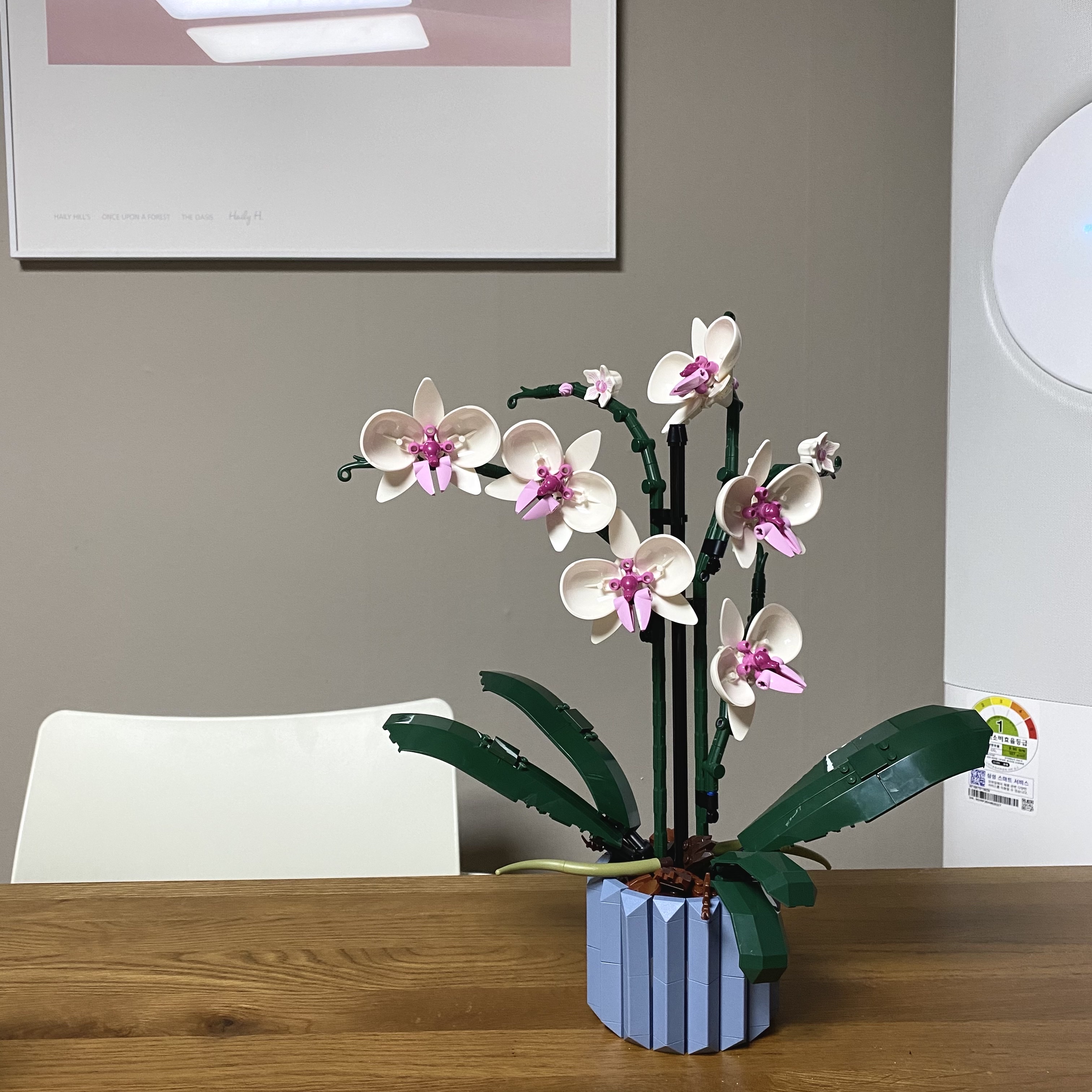 Lego Orchid 착용 스타일