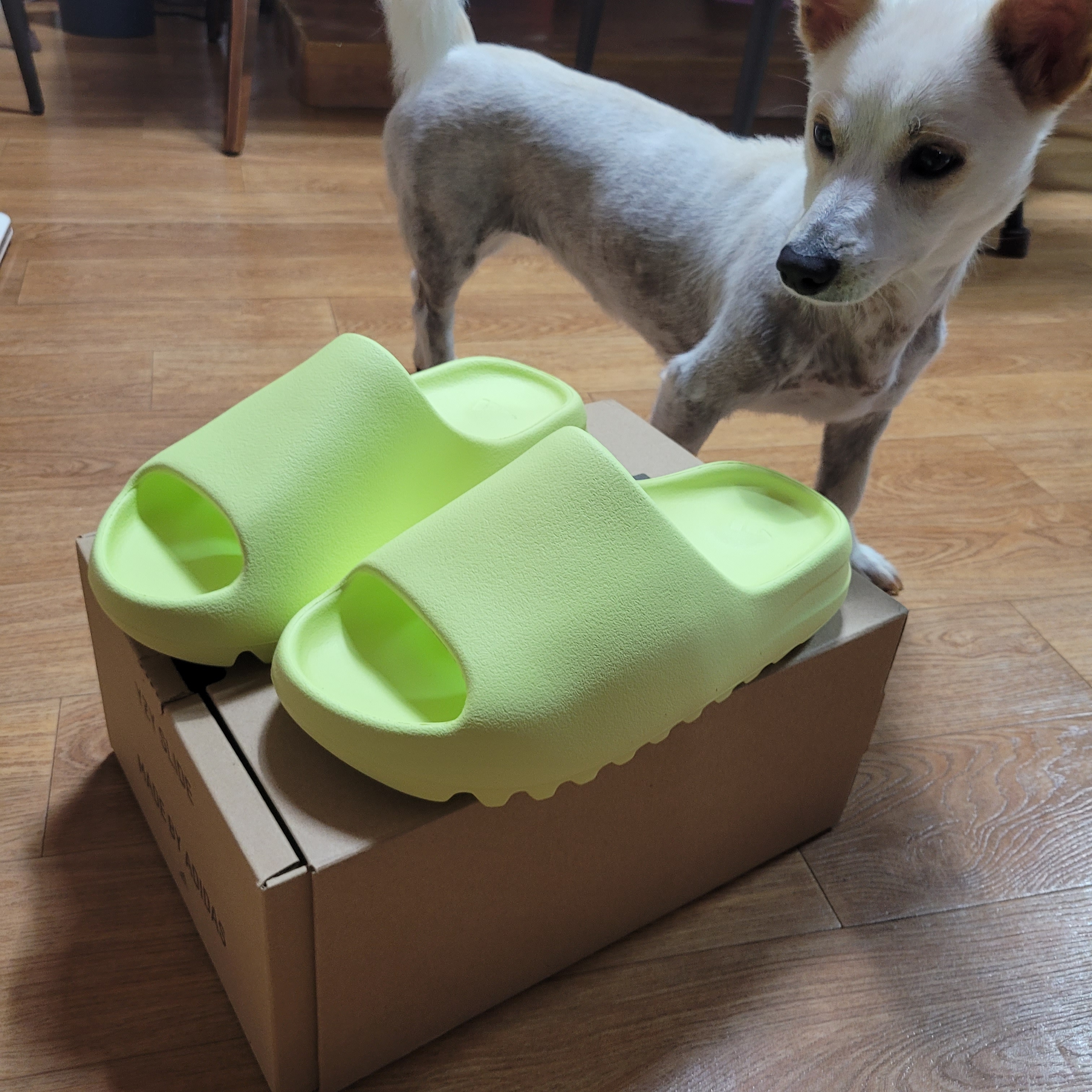 Adidas Yeezy Slide Glow Green 2022/2023 착용 스타일