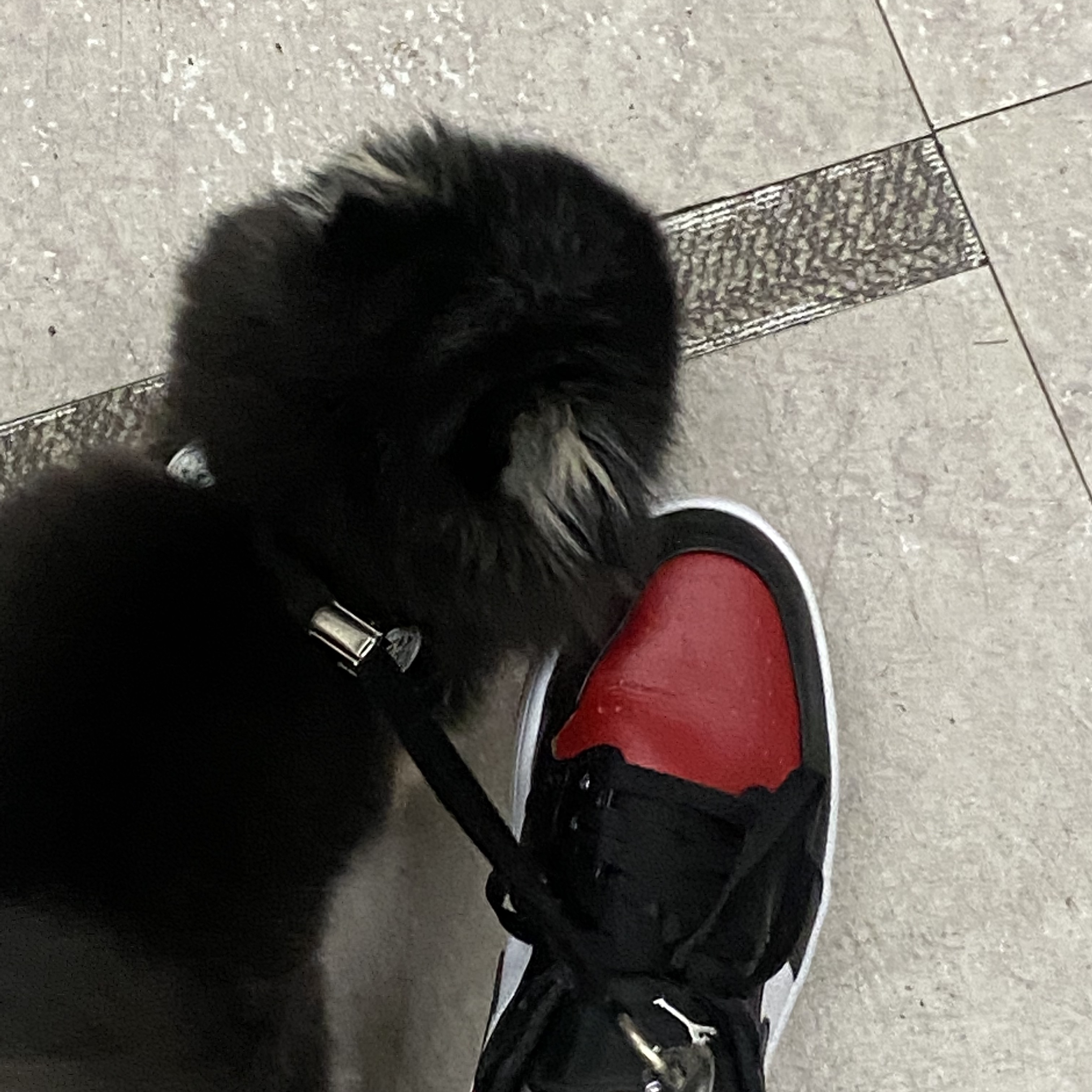 Jordan 1 Low Bred Toe 착용 스타일