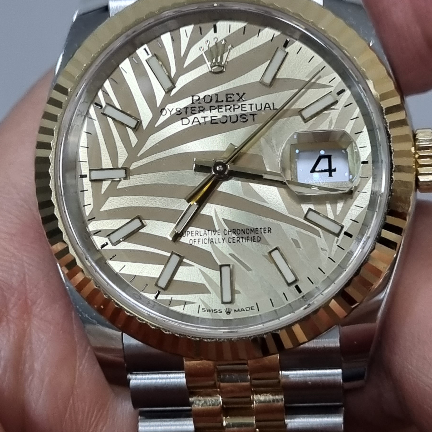 Rolex Datejust 36mm 126233 Palm Motif Golden Jubilee 착용 스타일