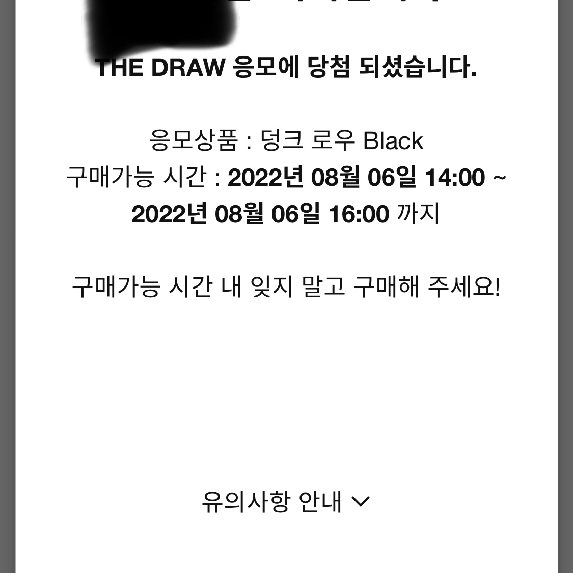 Nike Dunk Low Retro Black 착용 스타일
