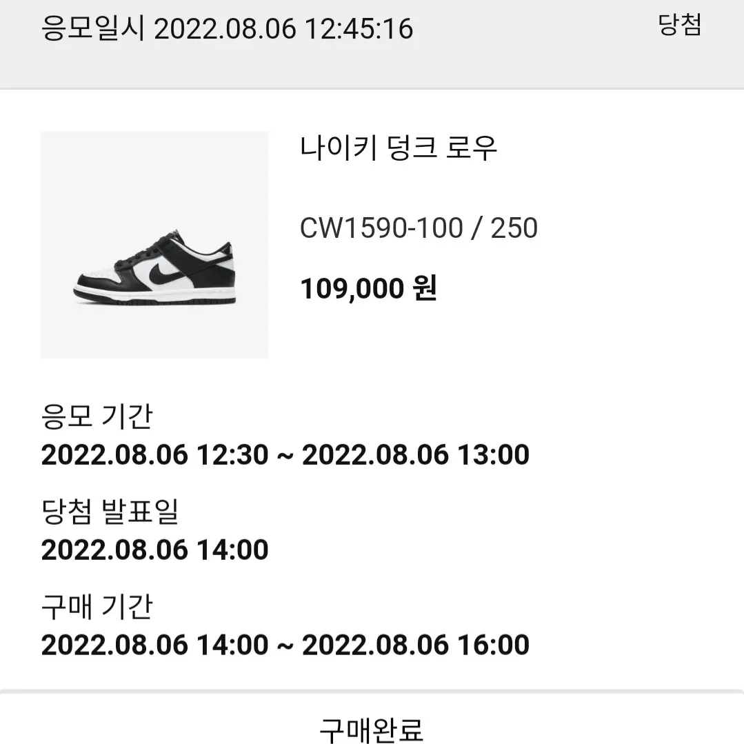 Nike Dunk Low Retro Black, (GS) Nike Dunk Low Black 착용 스타일 - 4