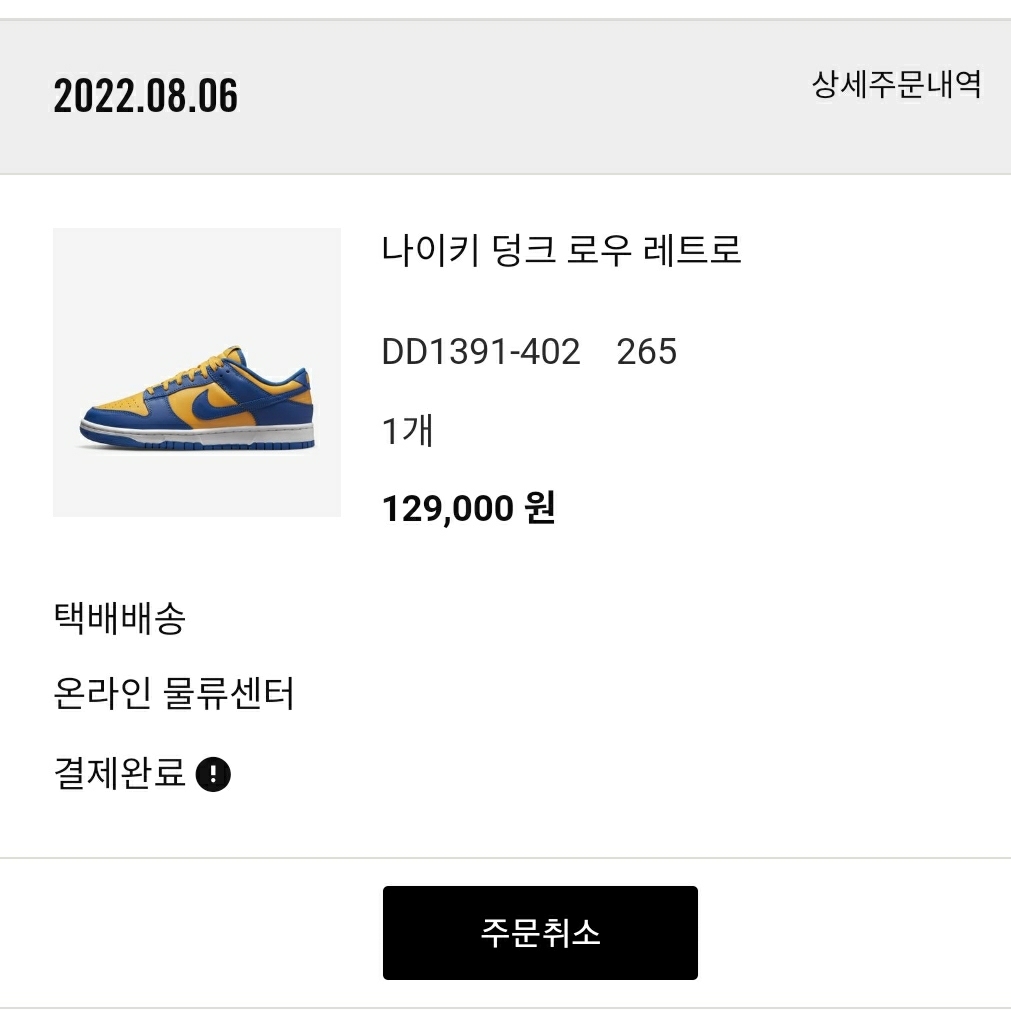 Nike Dunk Low Retro Blue Jay and University Gold 착용 스타일