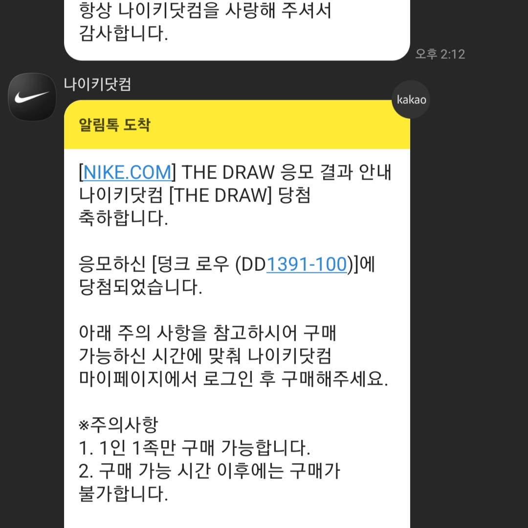Nike Dunk Low Retro Black 착용 스타일