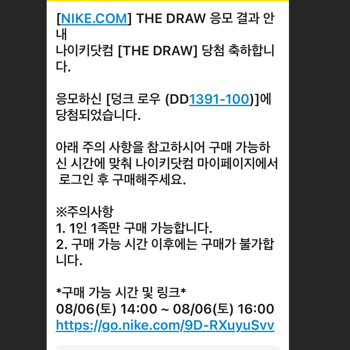 Nike Dunk Low Retro Black 착용 스타일