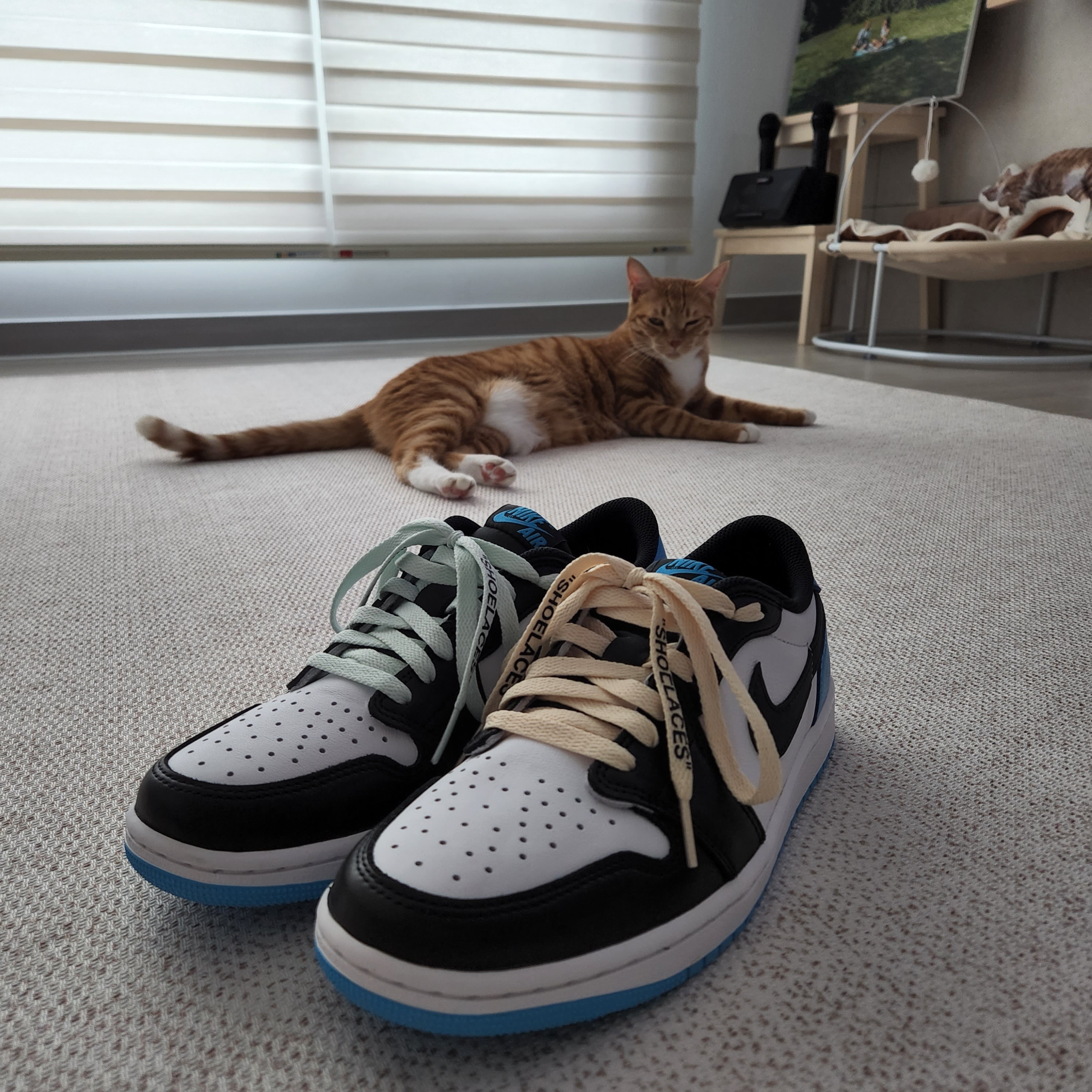 Jordan 1 Retro Low OG Black and Dark Powder Blue 착용 스타일