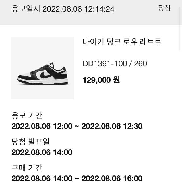 Nike Dunk Low Retro Black 착용 스타일 - 1