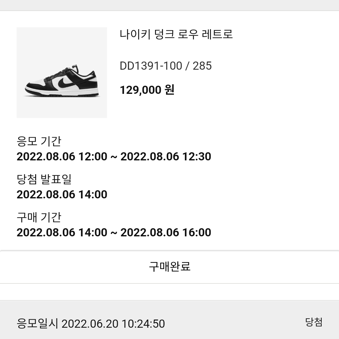 Nike Dunk Low Retro Black 착용 스타일