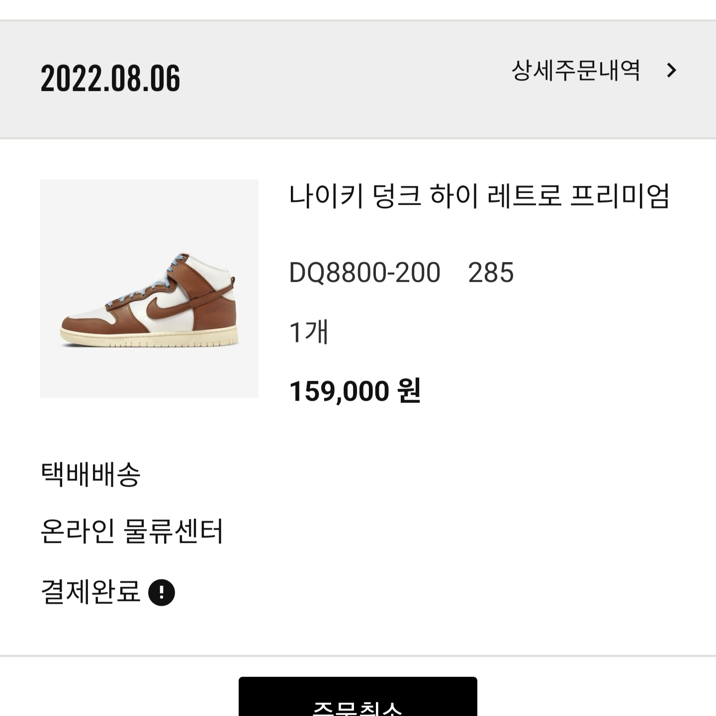 Nike Dunk High PRM Pecan and Sail 착용 스타일