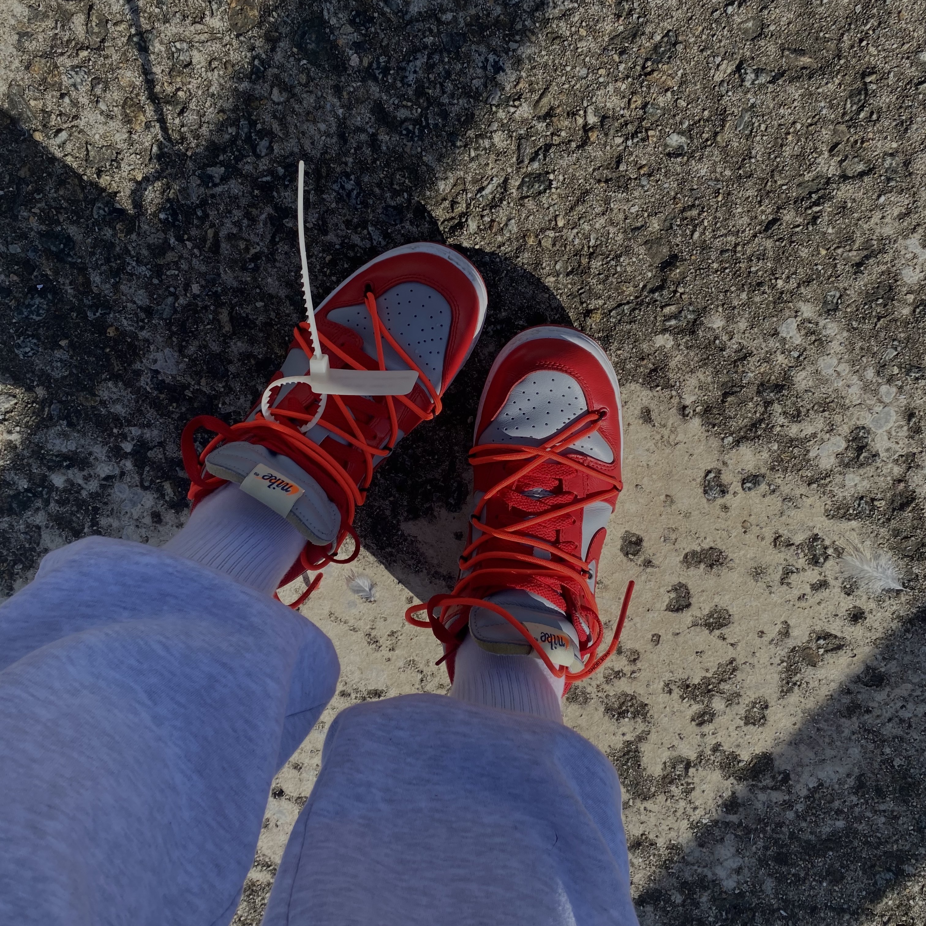 Nike x Off-White Dunk Low University Red, Nike Dunk Low Retro University Blue 착용 스타일 - 1