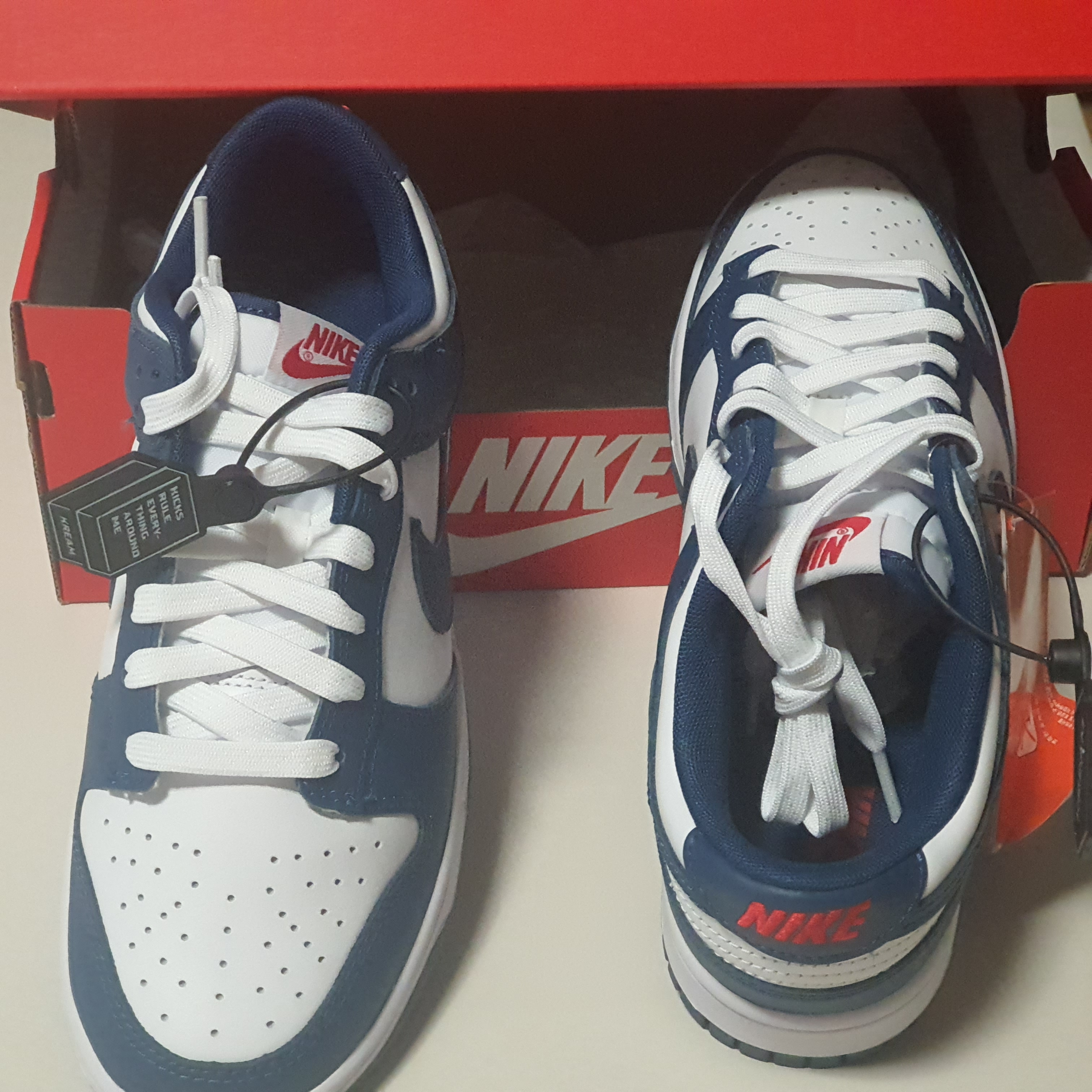 Nike Dunk Low Retro Valerian Blue 착용 스타일