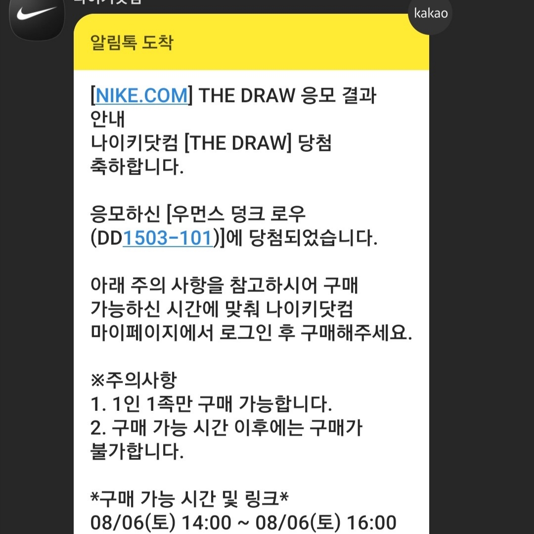 (W) Nike Dunk Low Black 착용 스타일