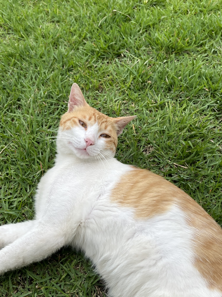 관심 유저 프로필 이미지